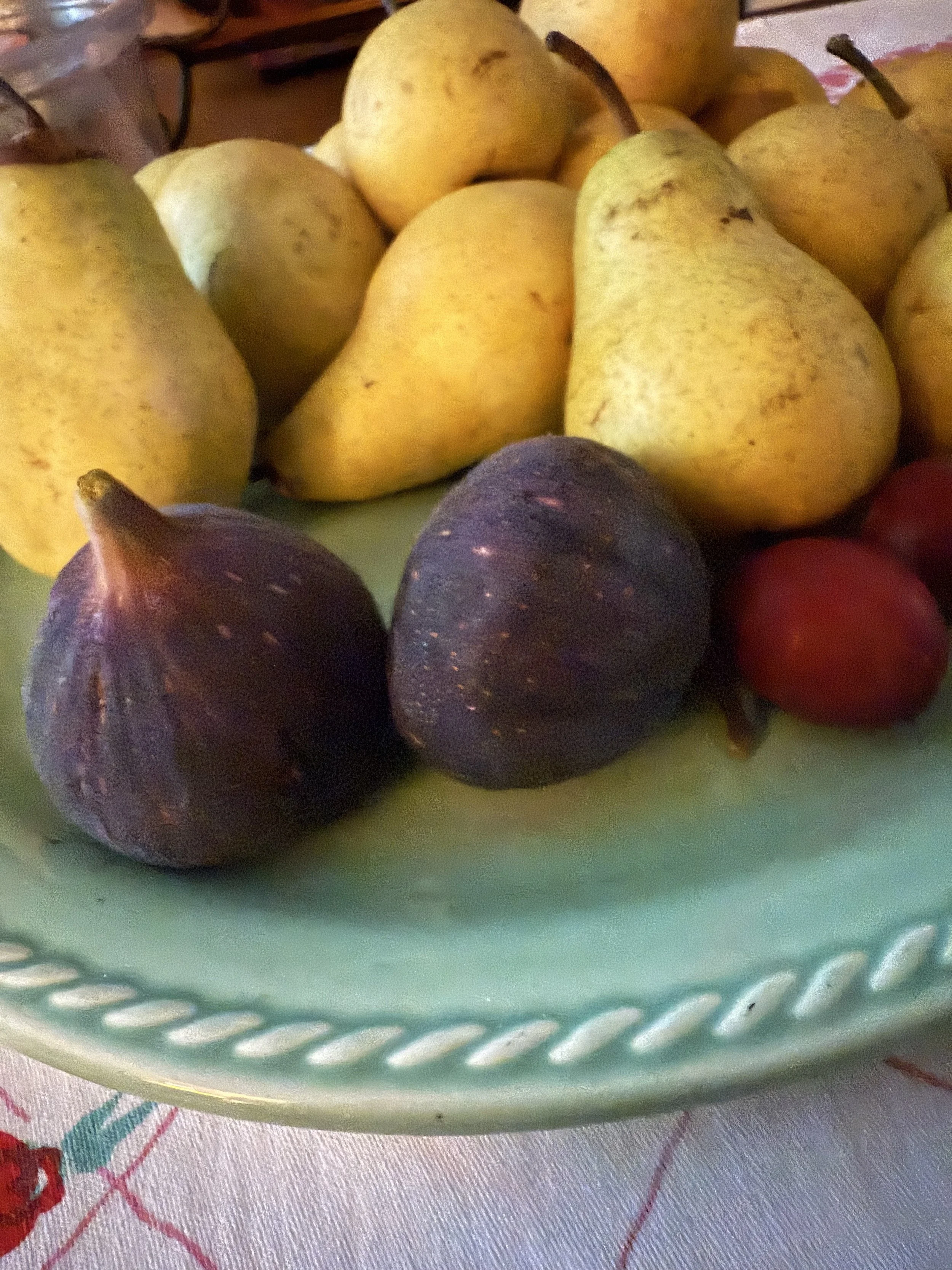 An Abundance of Figs and Friendship