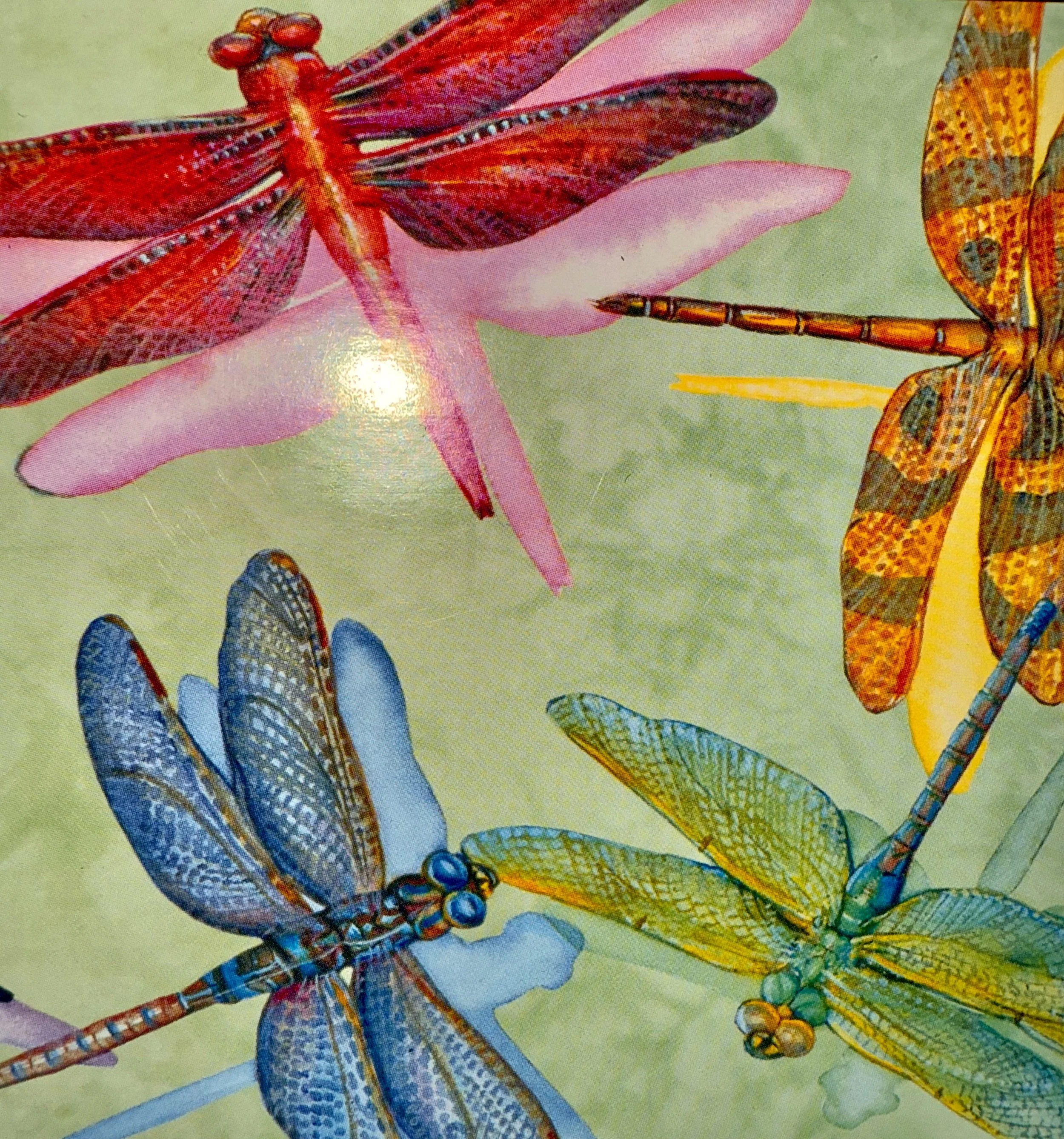 Dragonflies and Damselflies