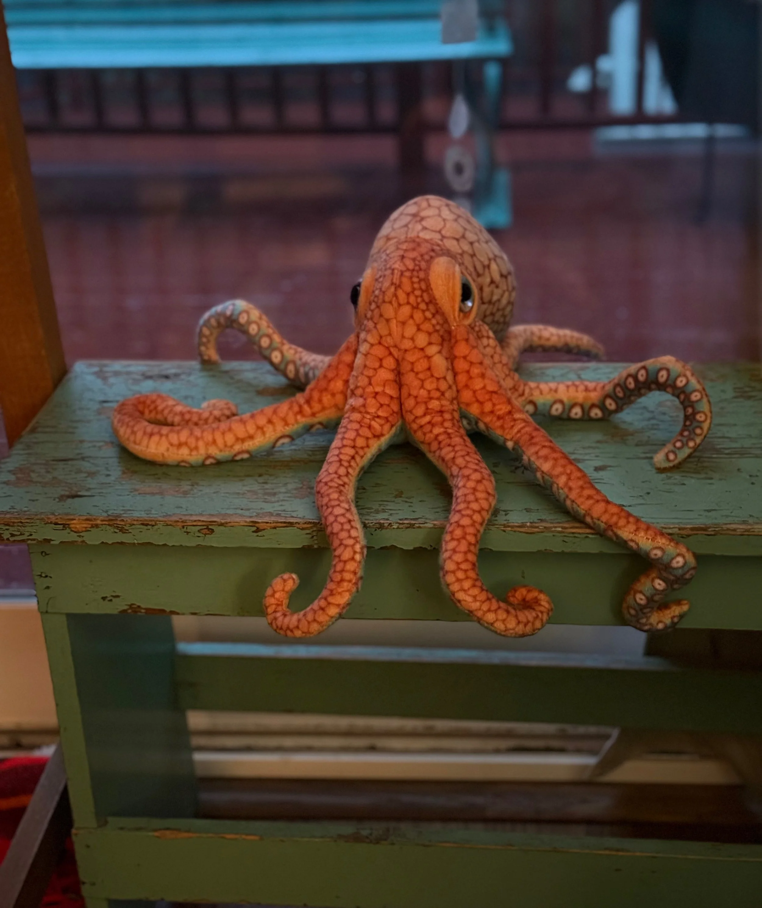 Octopus Tales