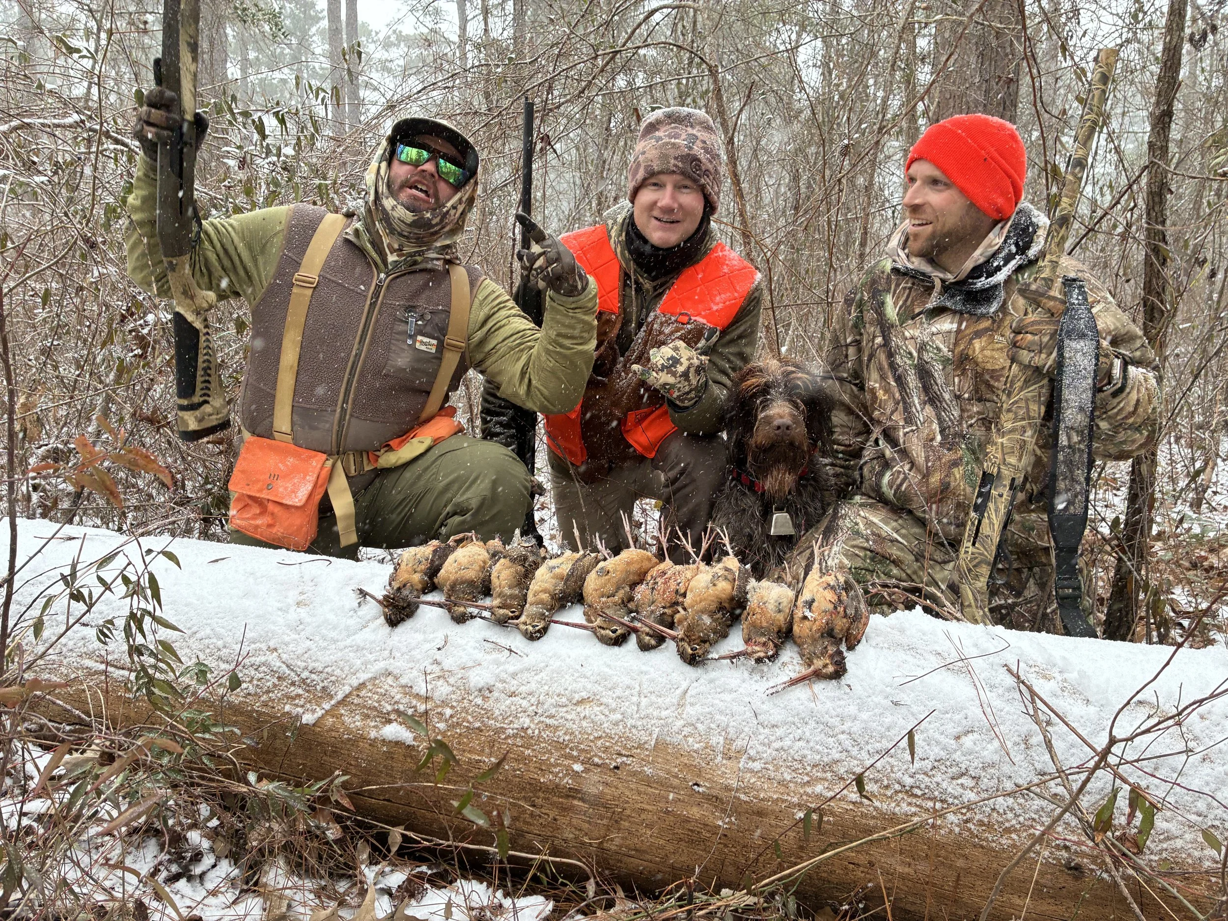 woodcock hunting north carolina