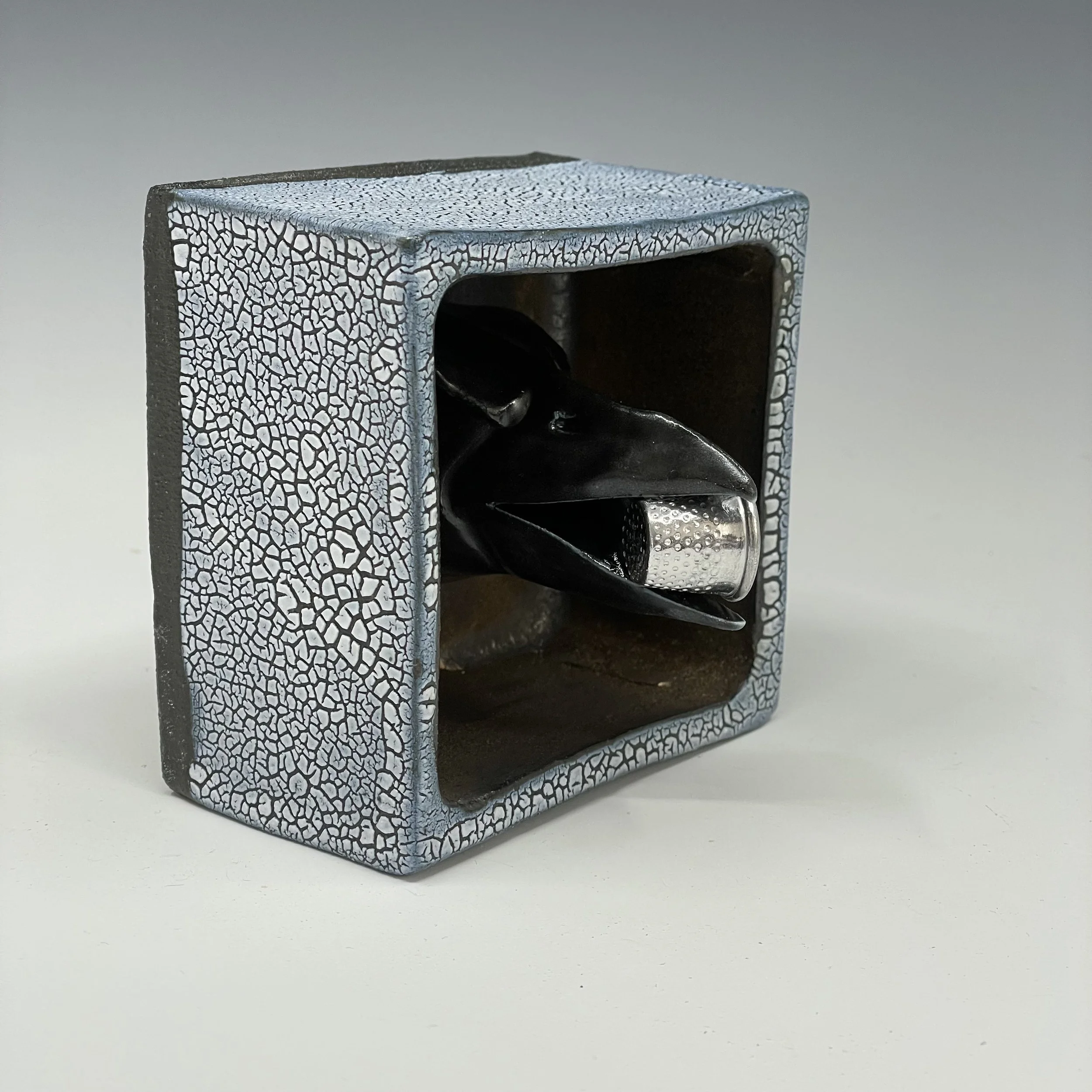 Raven with thimble shadow box