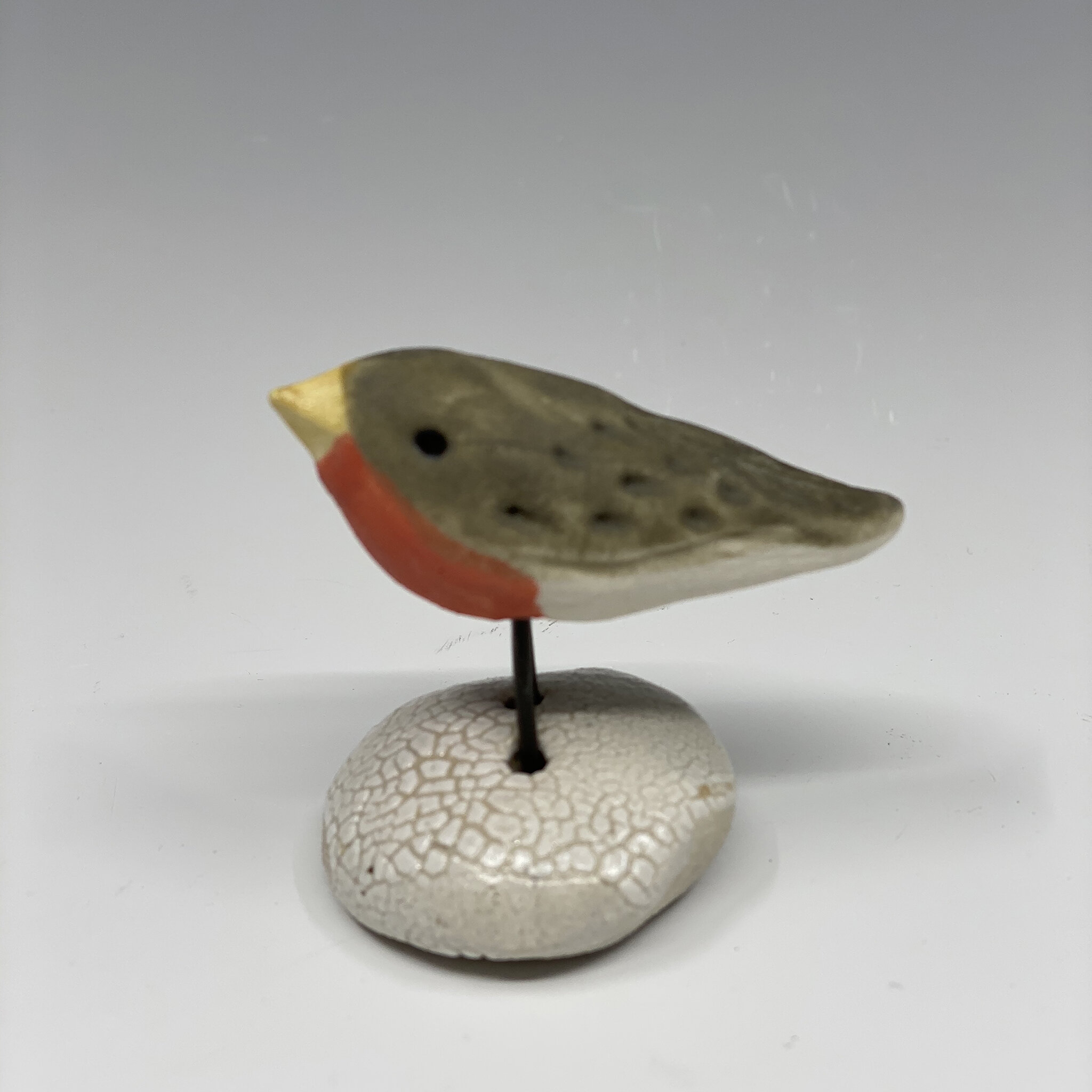 tinyrobin.jpg