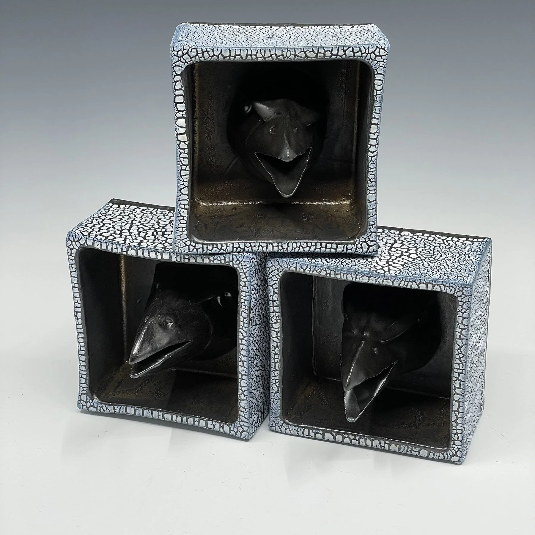 prodaniuk_raven shadow box.jpg