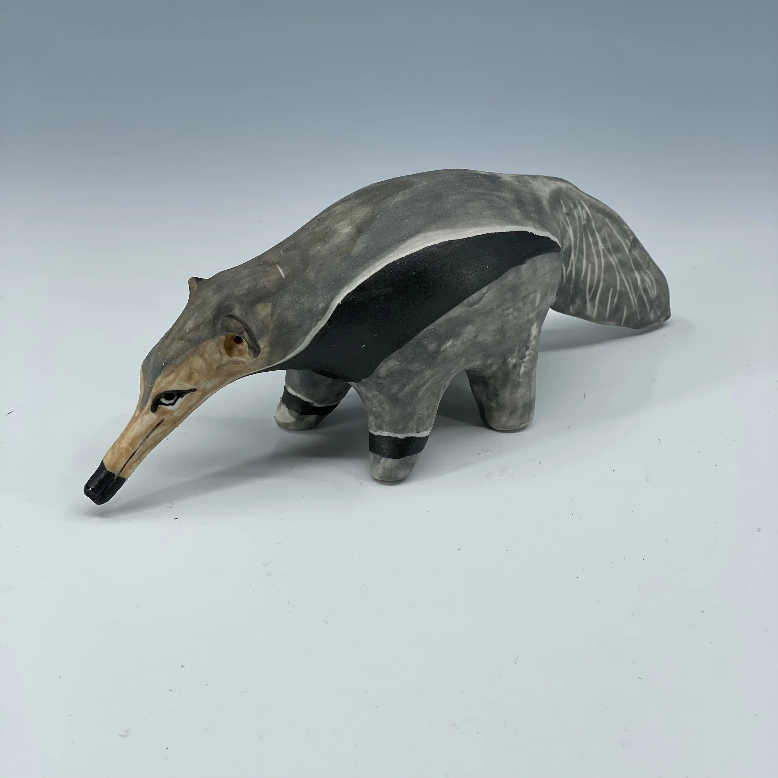 anteater side2