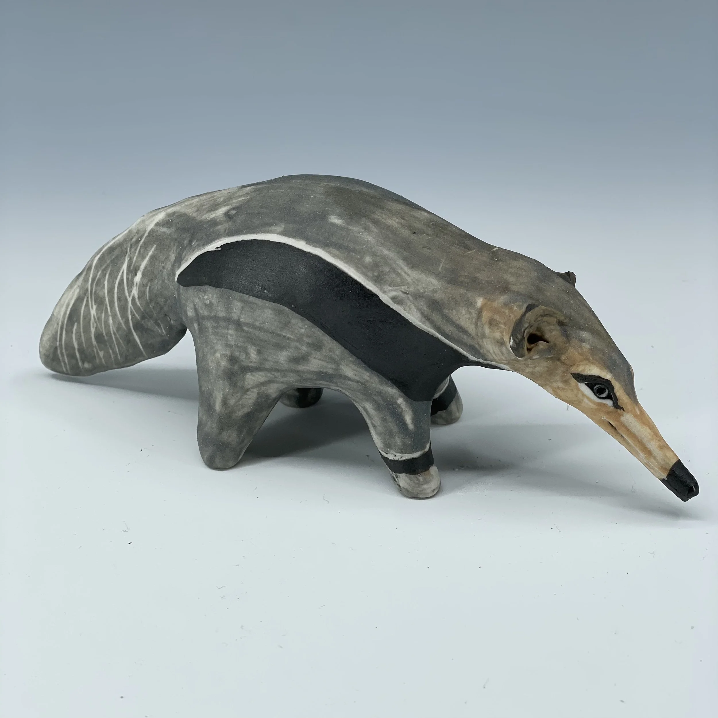 anteater side