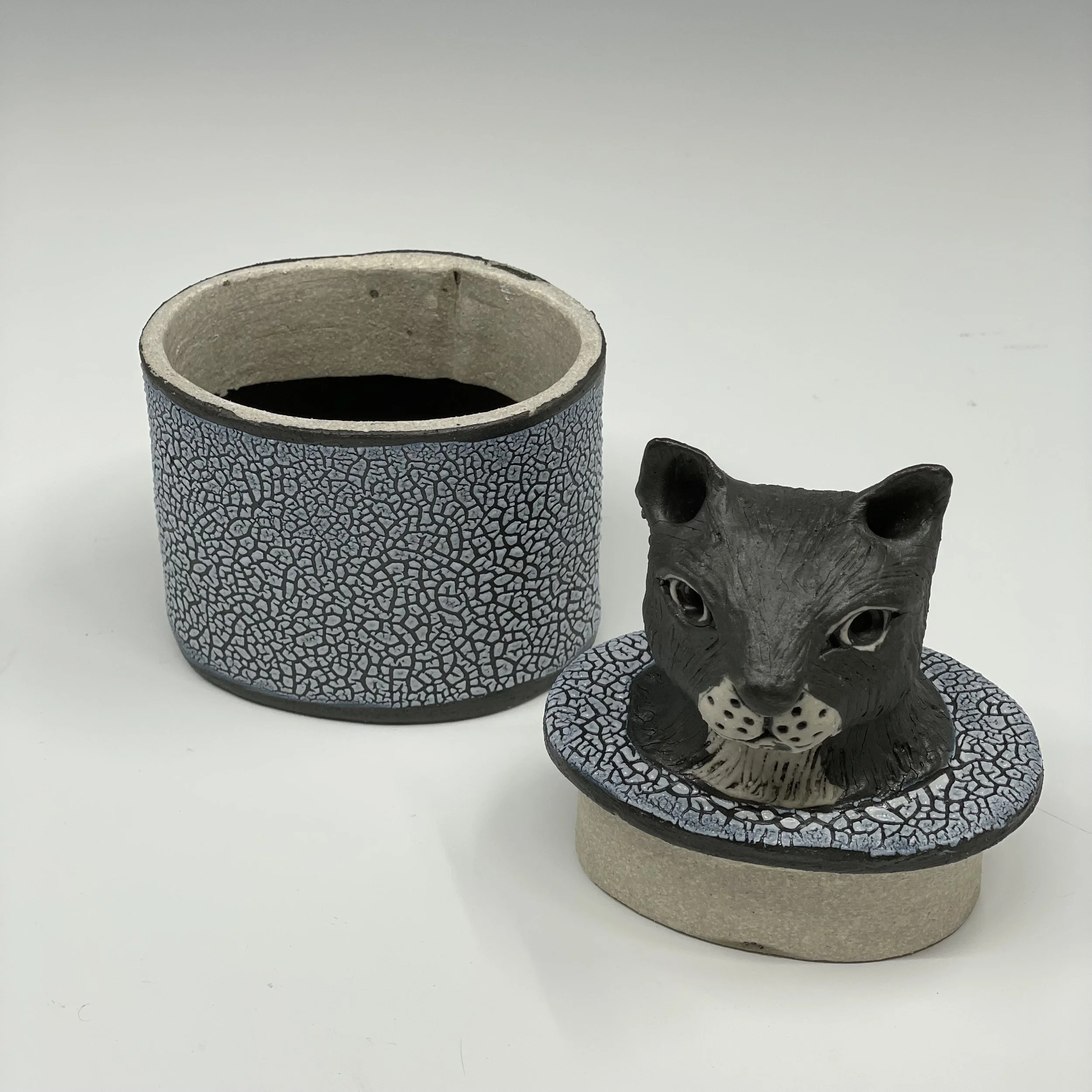 prodaniuk_smcatjaropen