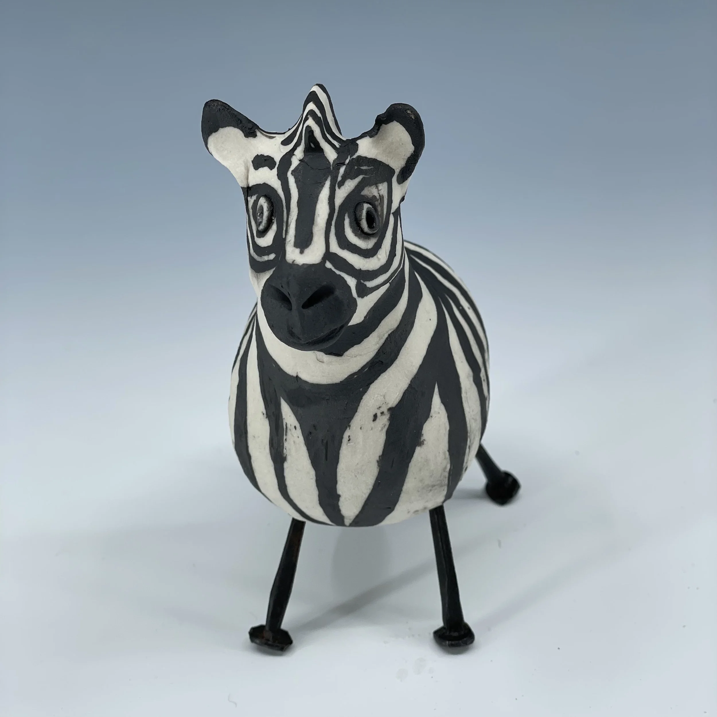 zebra front