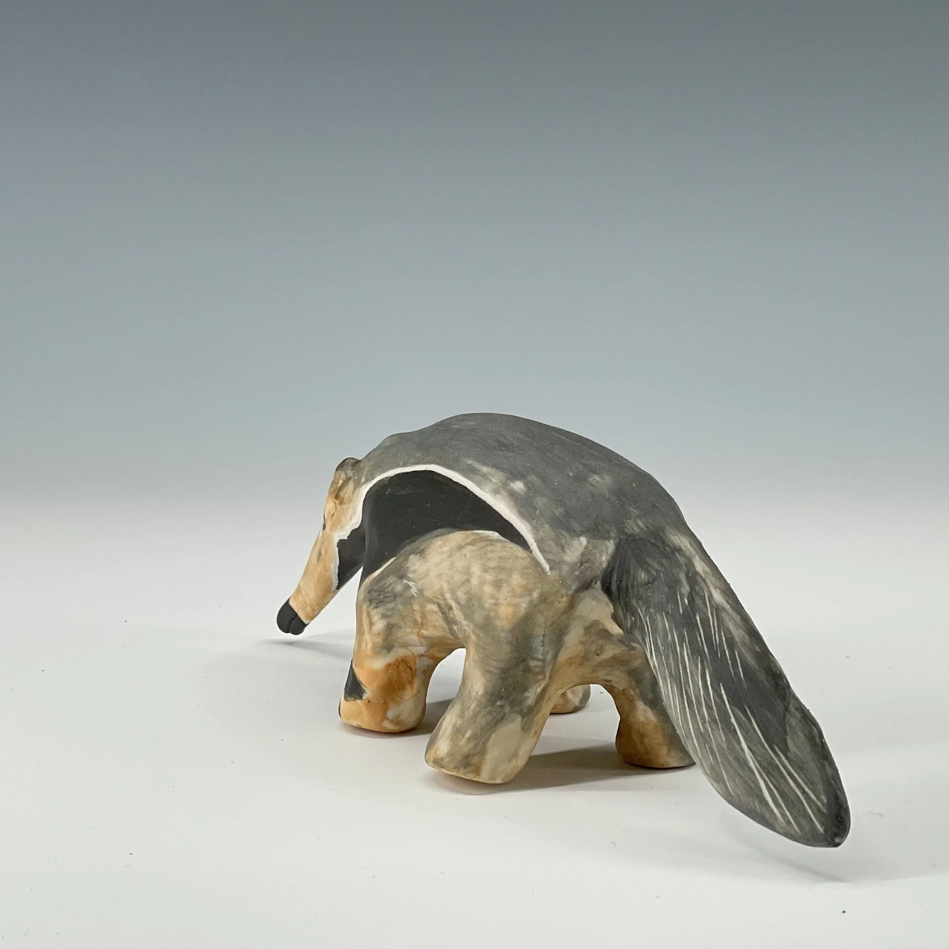 anteater tail