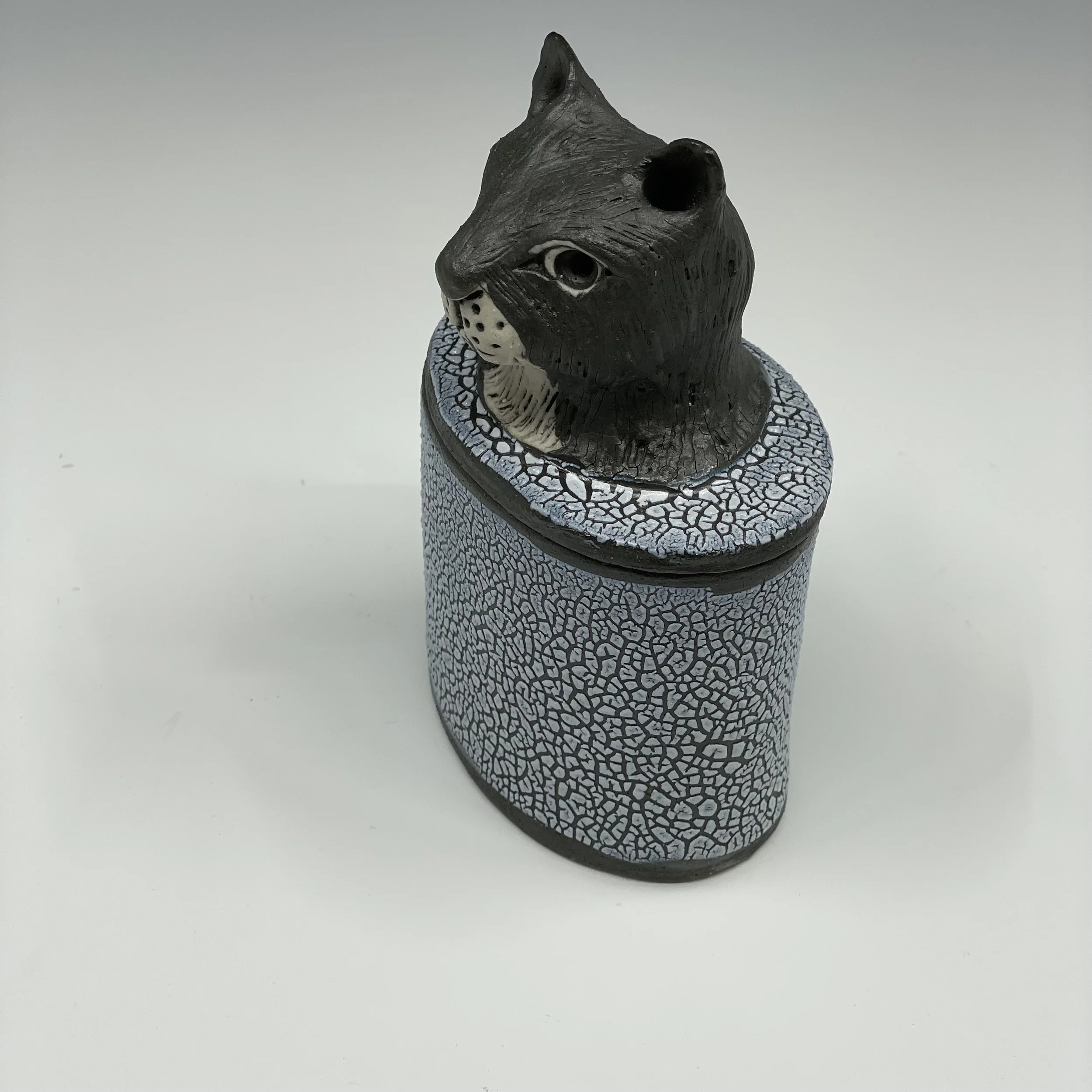 prodaniuk_smcatjarside2