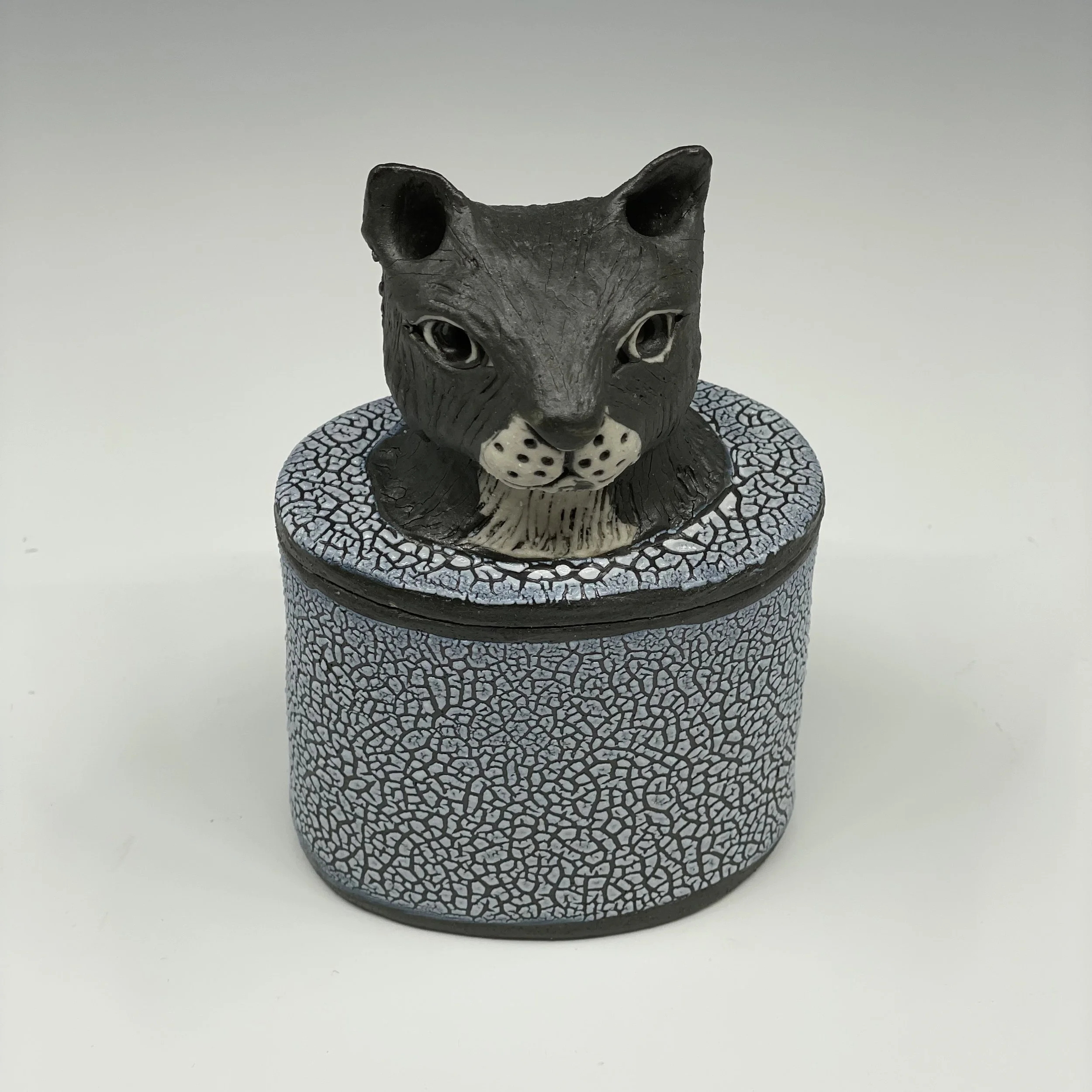 Small cat jar