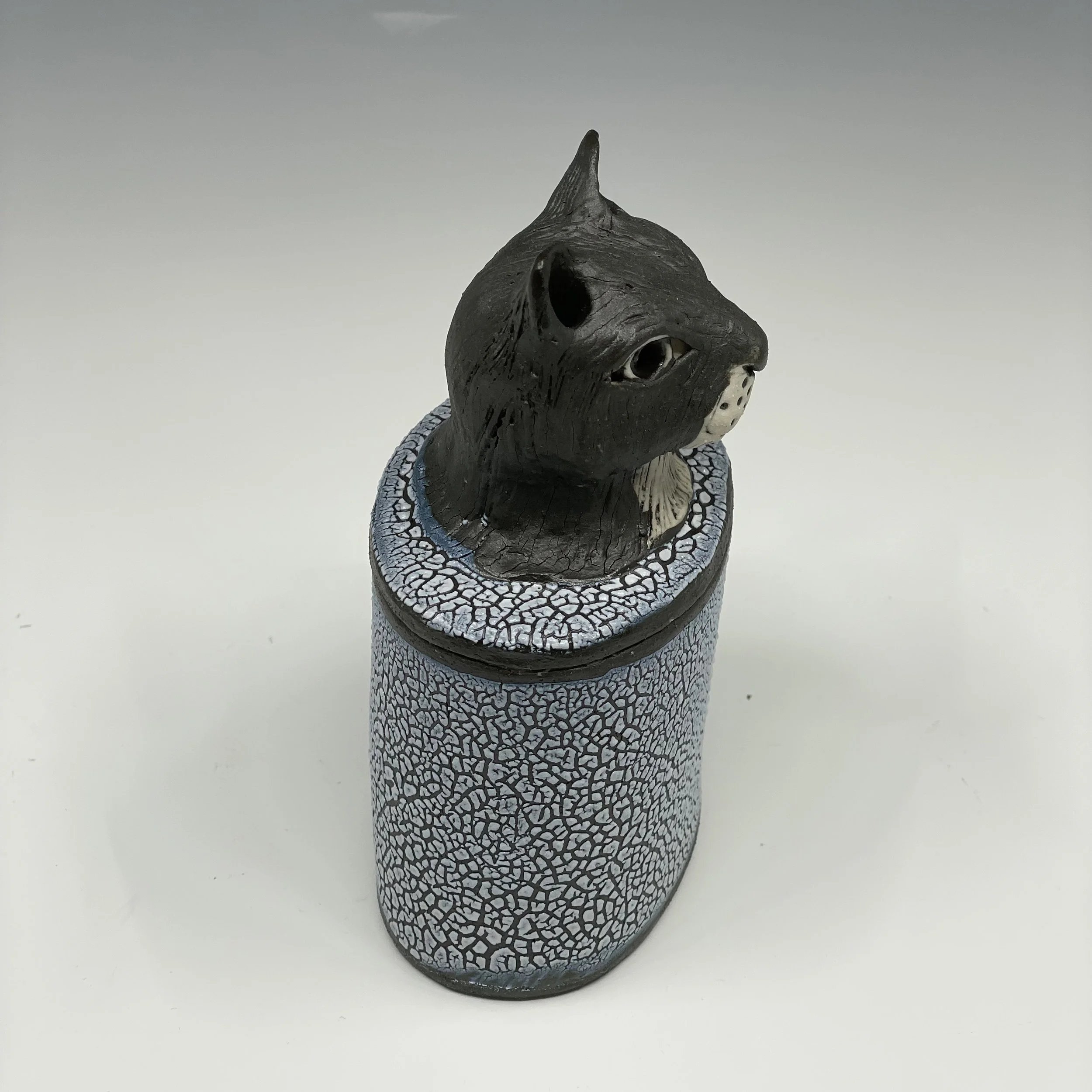 prodaniuk_smcatjarside