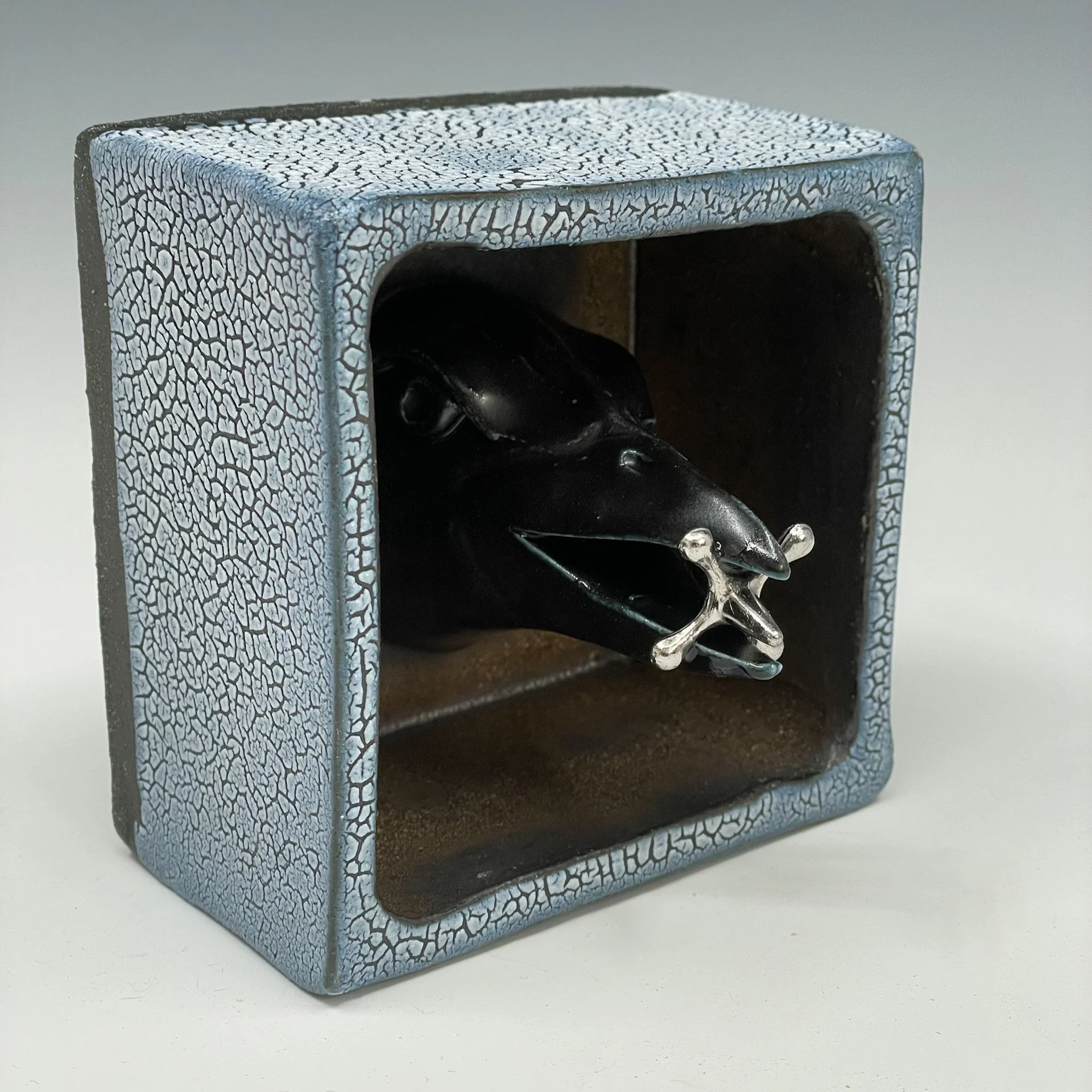 Raven with a jack shadow box