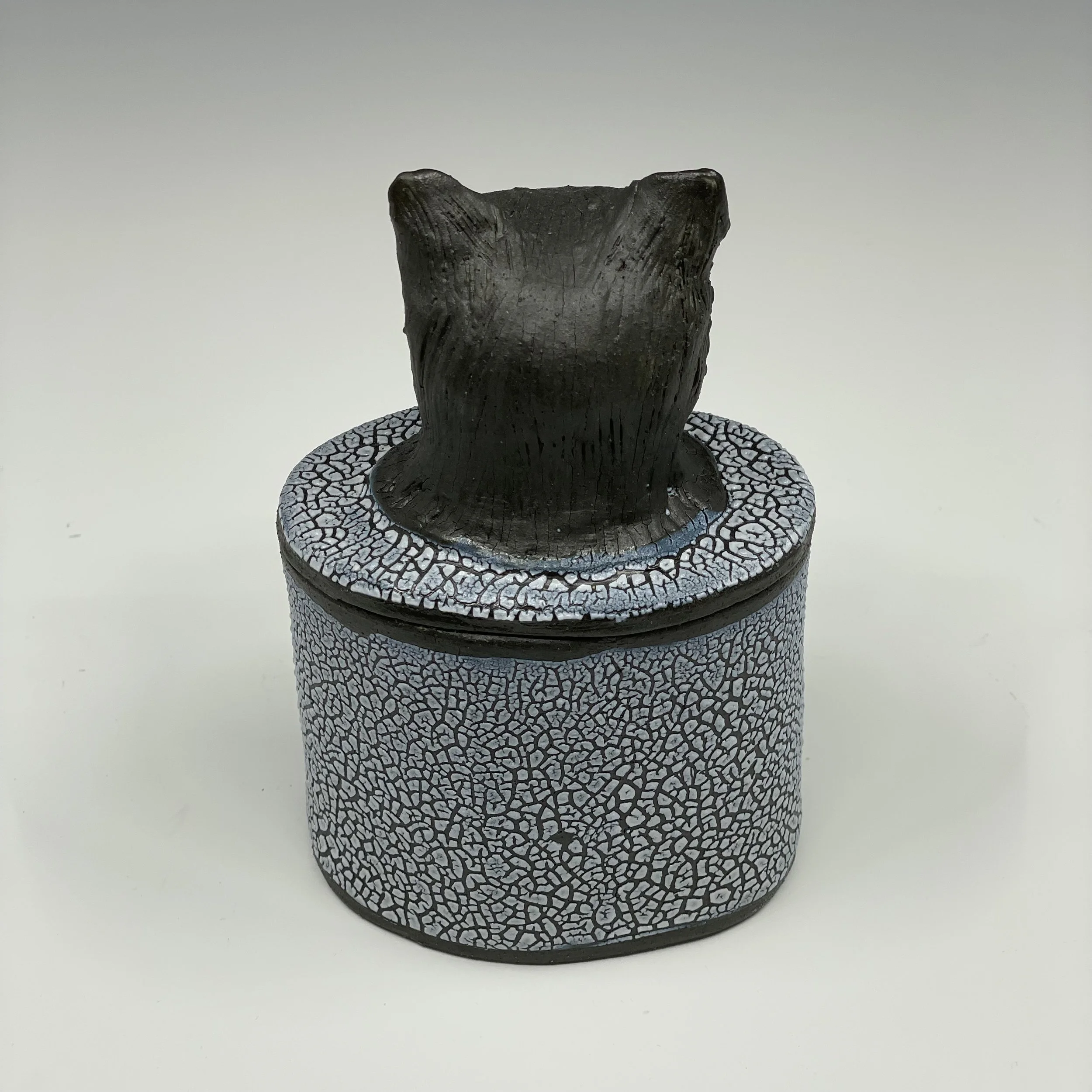 prodaniuk_smcatjarback