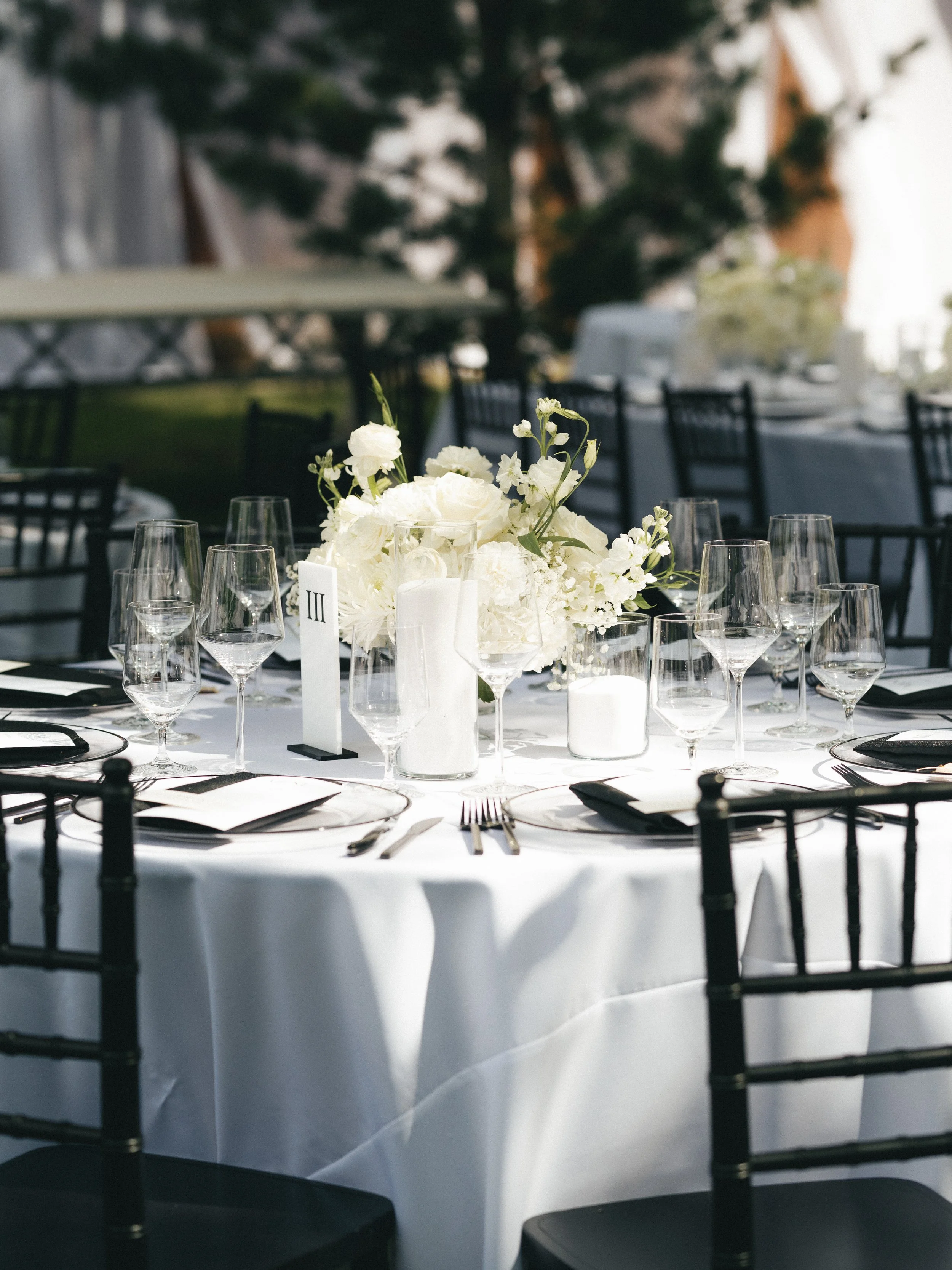 malsam-wedding-details-kayla-lucio-photo-sandpoint-idaho-backyard-summer-august-driftwood-events-34.jpg
