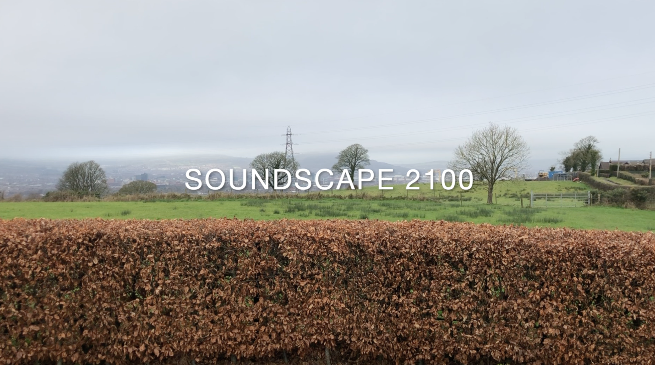Soundscape 2100