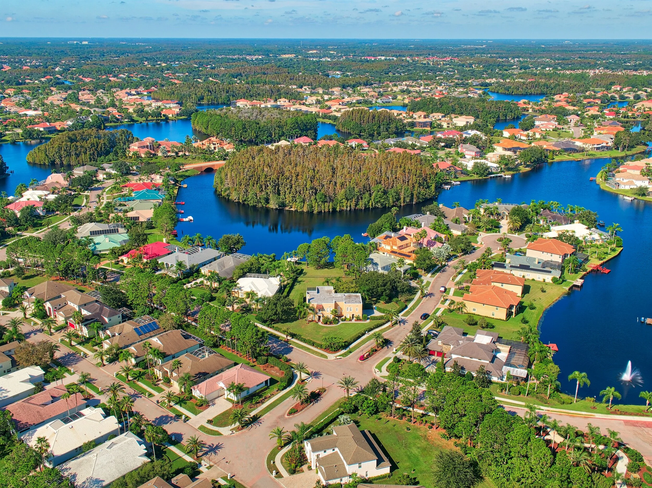 South Tampa Real Estate Report