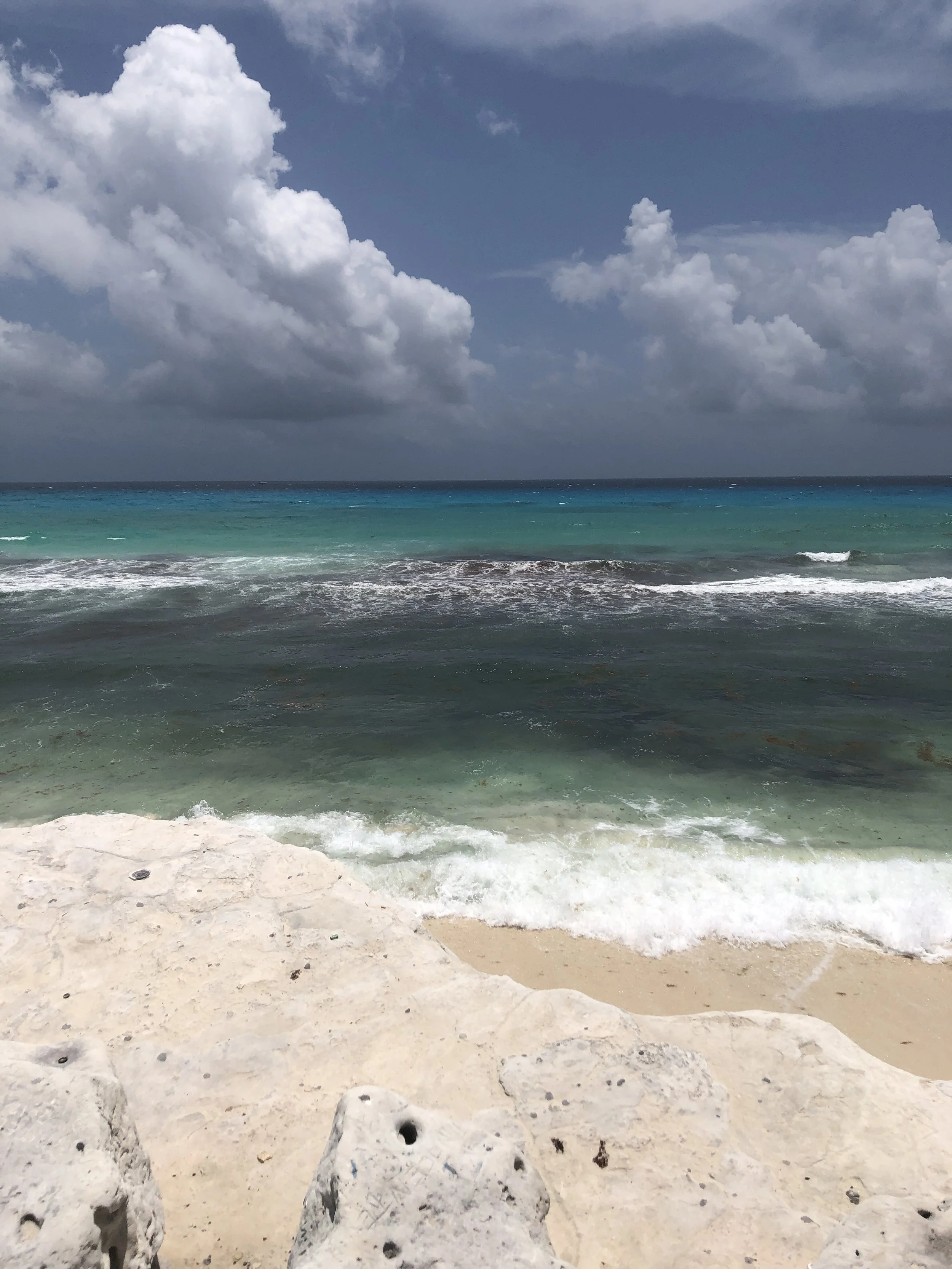 South Tampa Real Estate Report