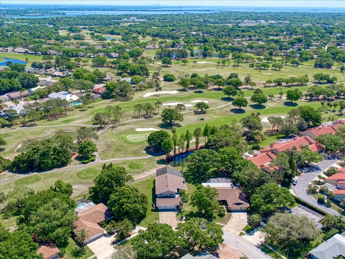 South Tampa Real Estate Report