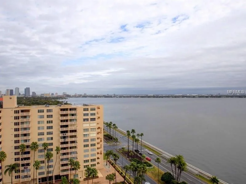 South Tampa Real Estate Report