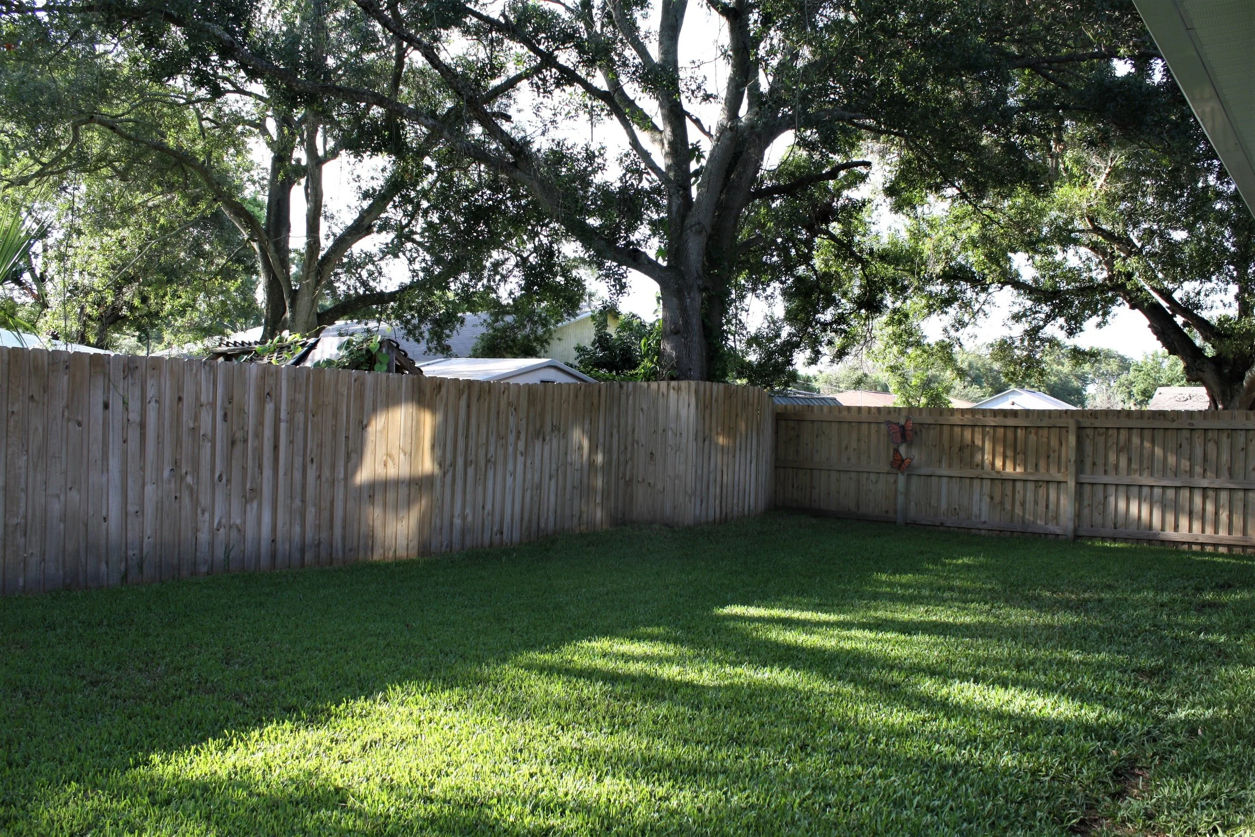 South Tampa Real Estate Report