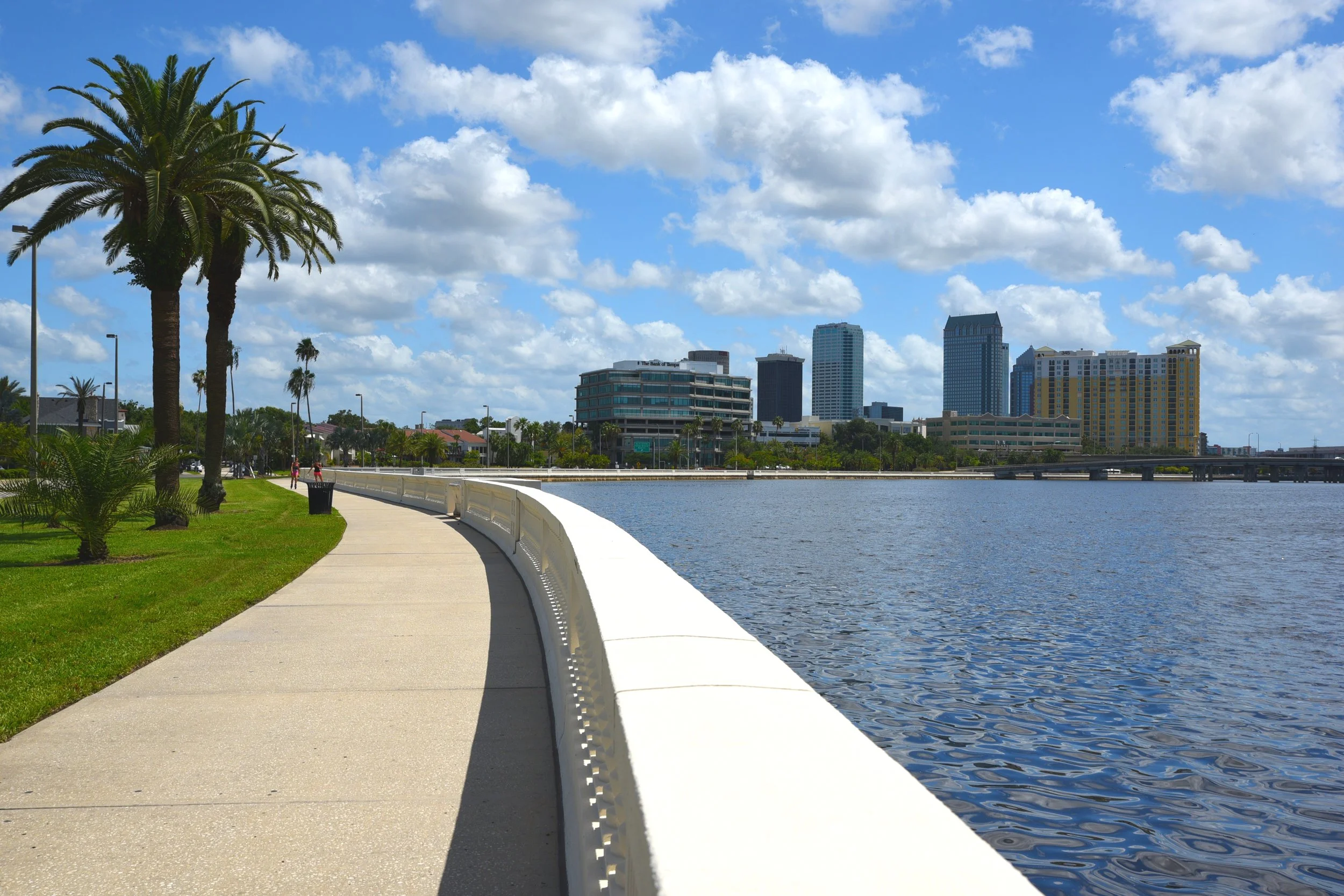 South Tampa Real Estate Report