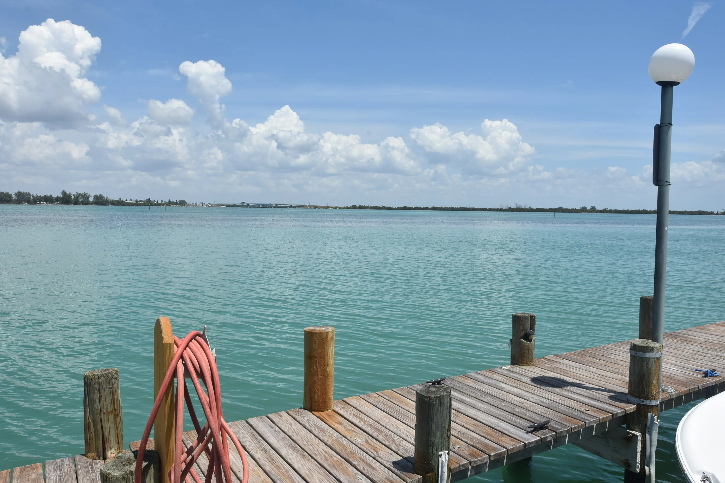 South Tampa Real Estate Report