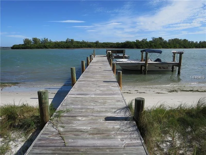 South Tampa Real Estate Report