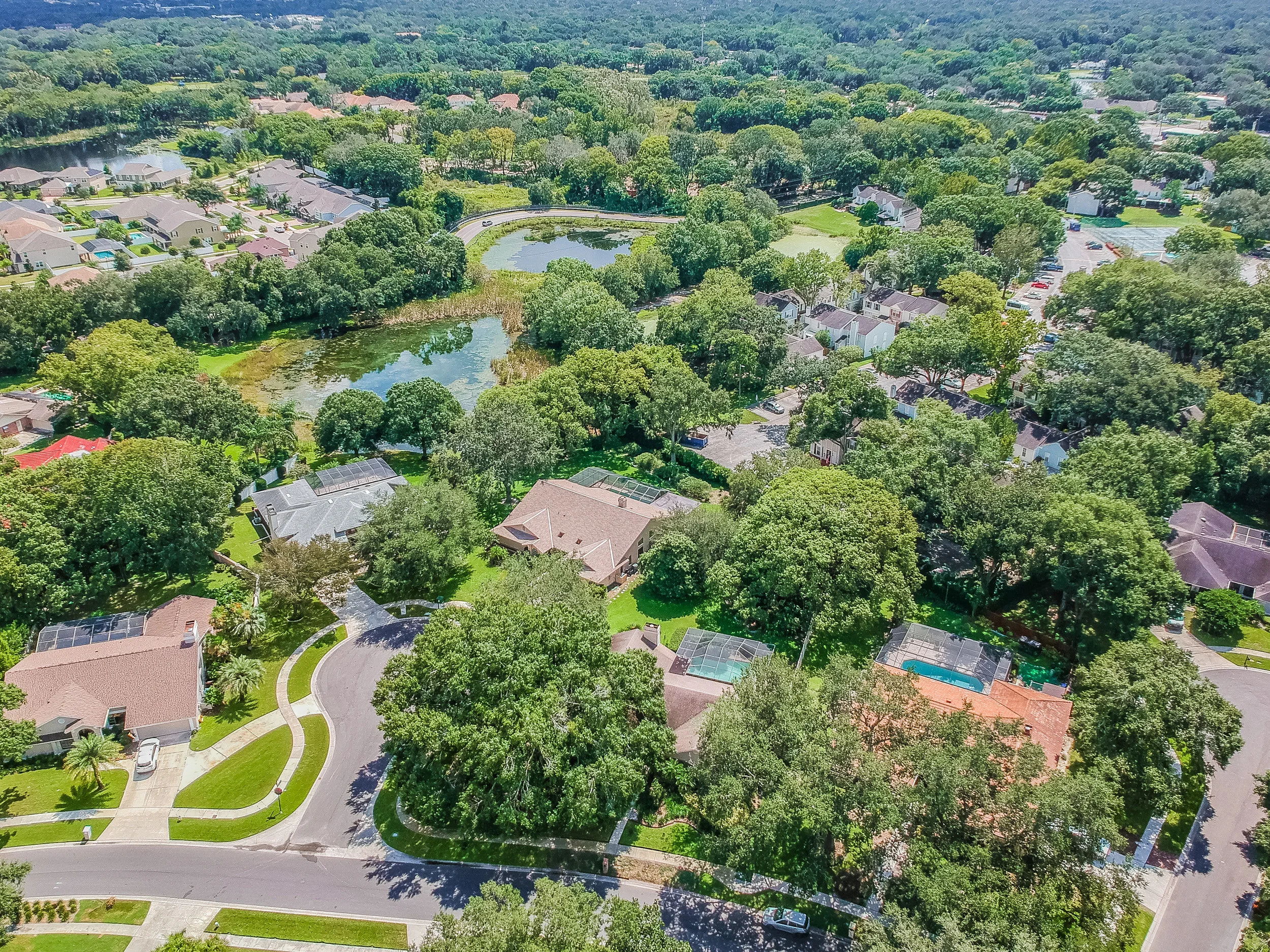 South Tampa Real Estate Report