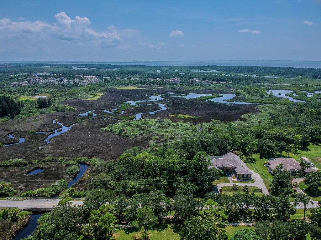 South Tampa Real Estate Report