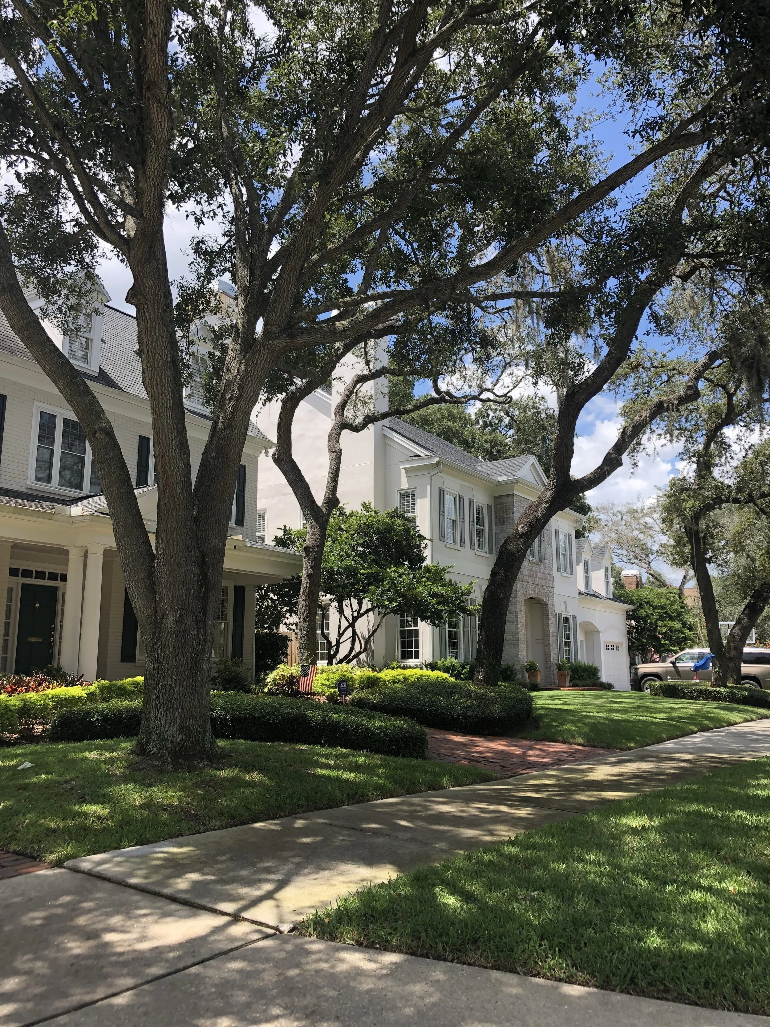 South Tampa Real Estate Report