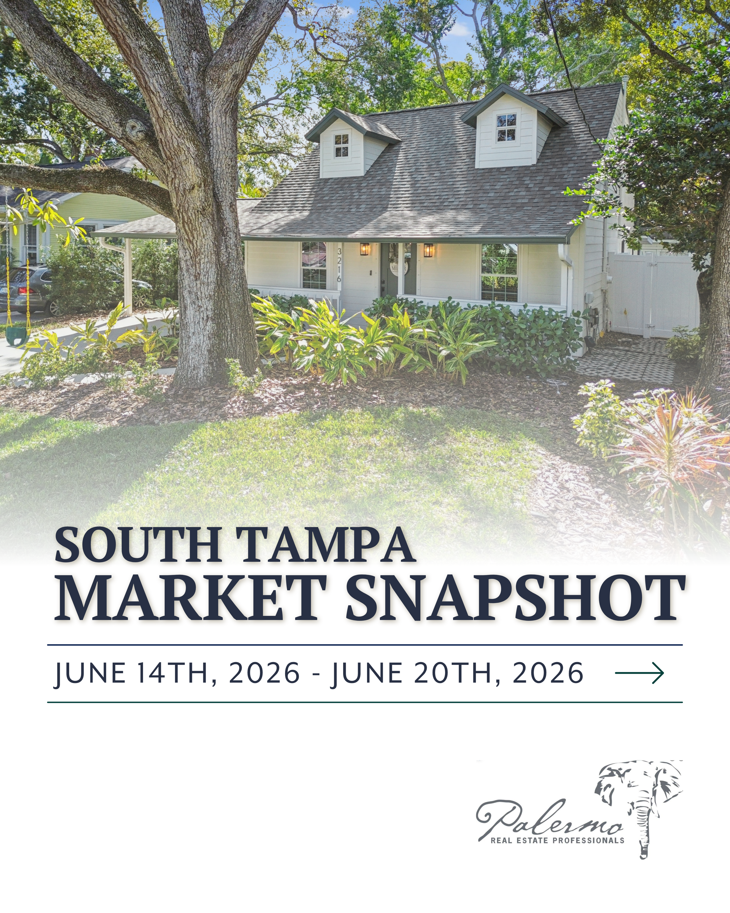 South Tampa Real Estate Report