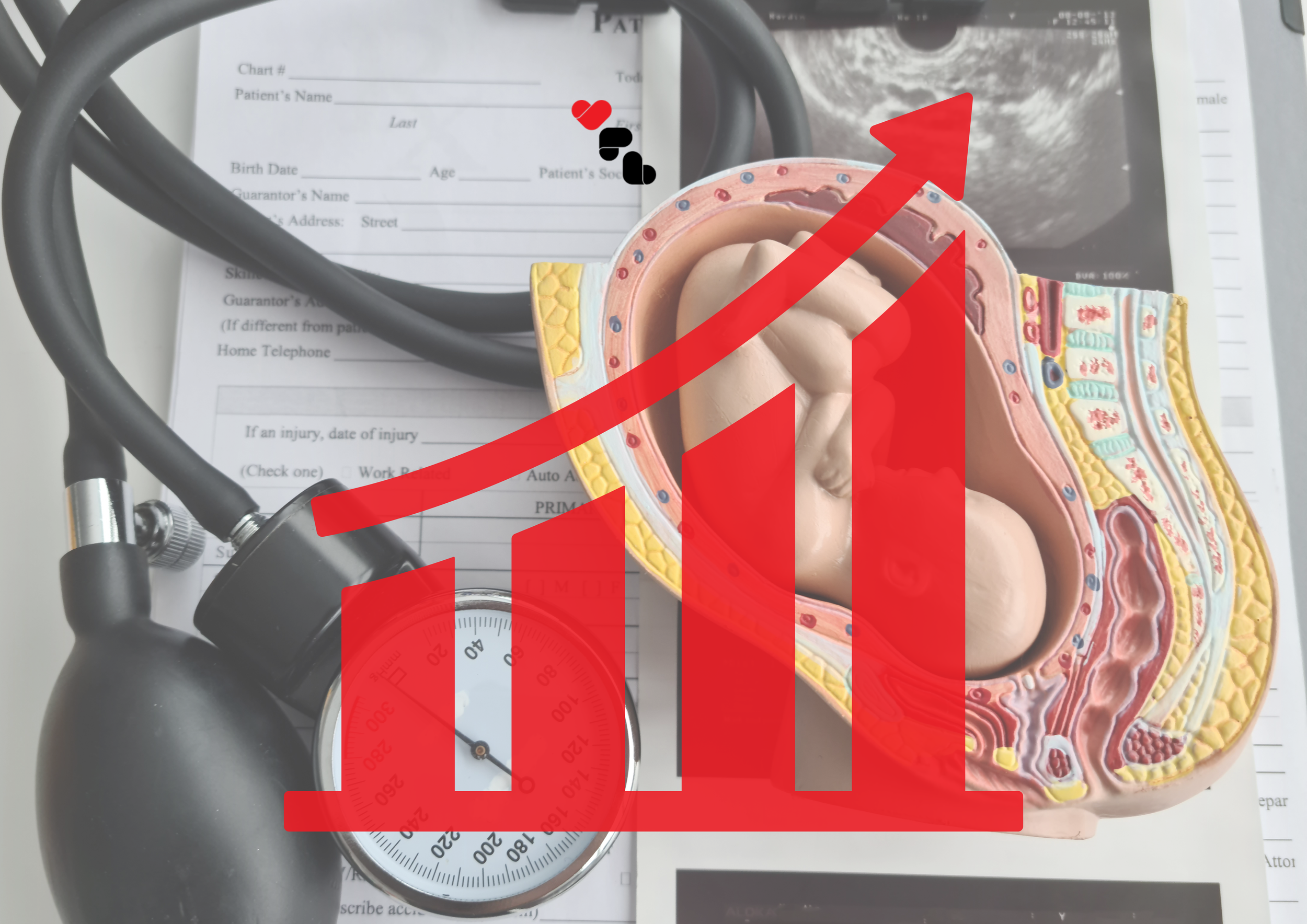 New Zealand Abortion Stats 2024: Six troubling trends the data is painting