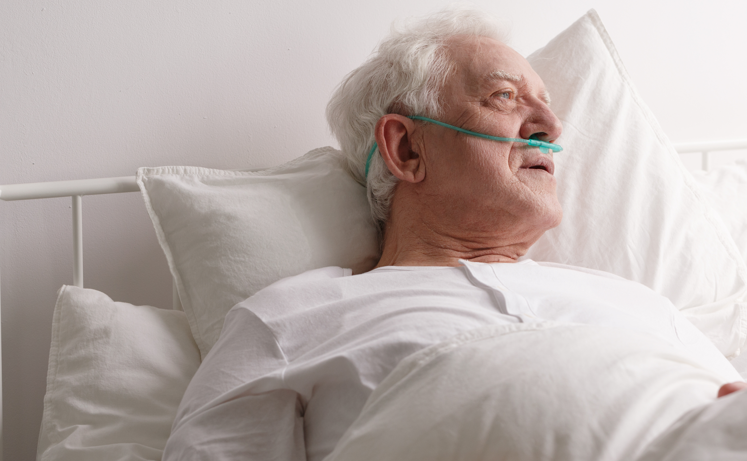The Hidden Truth About Euthanasia: A Doctor’s Perspective on Loneliness, Pressure, and the Illusion of Choice