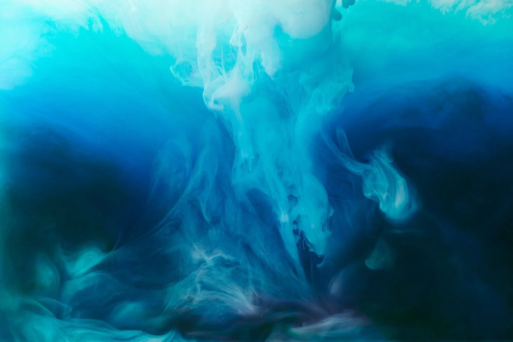 What does natural dying actually look like?