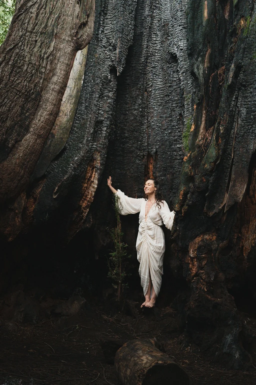 Healing arts.  Divine feminine. Goddess training.
