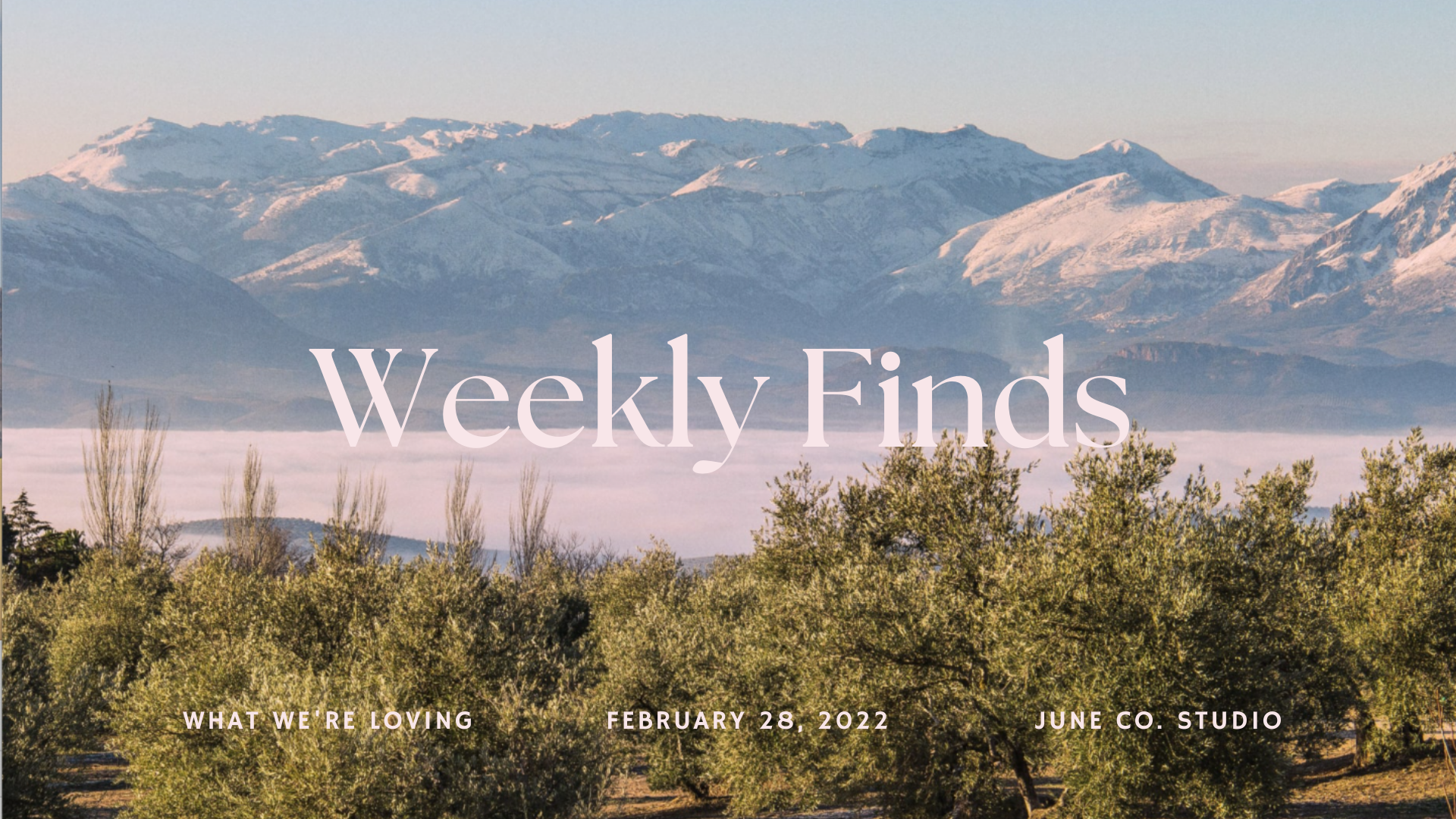 Weekly Finds | 2.28.22