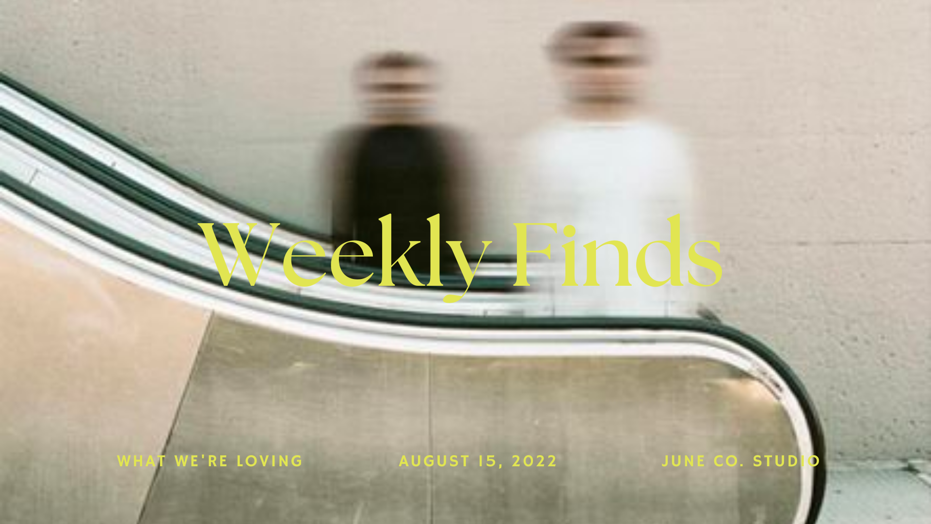 Weekly Finds | 8/15/22
