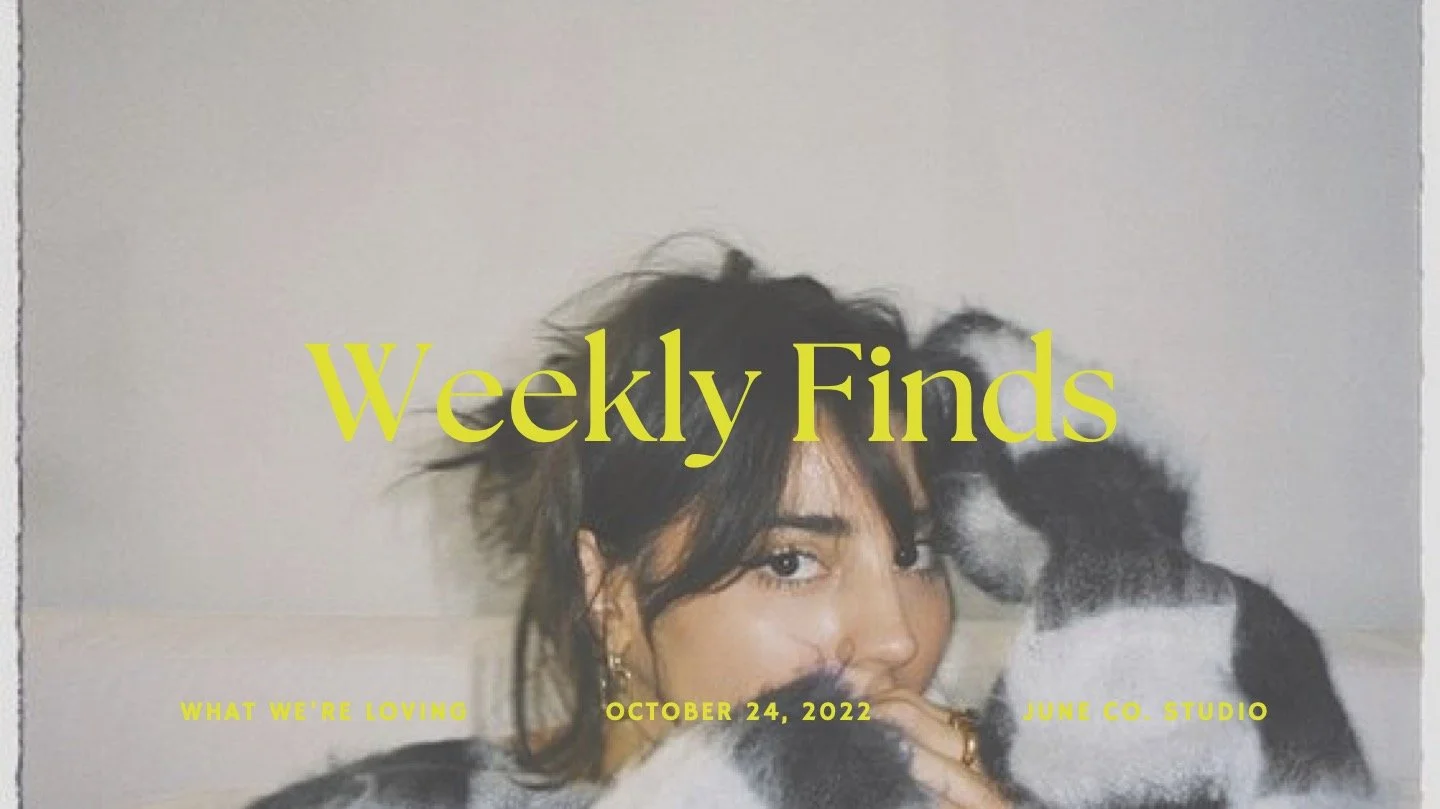 Weekly Finds | 10/24/2022 