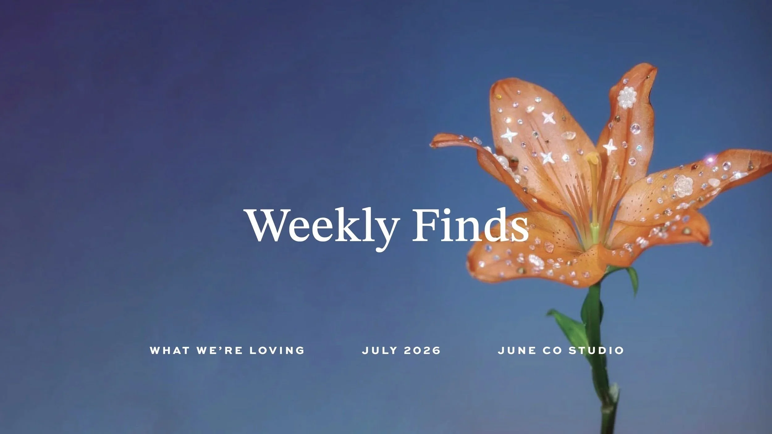 July 2026 Weekly Finds