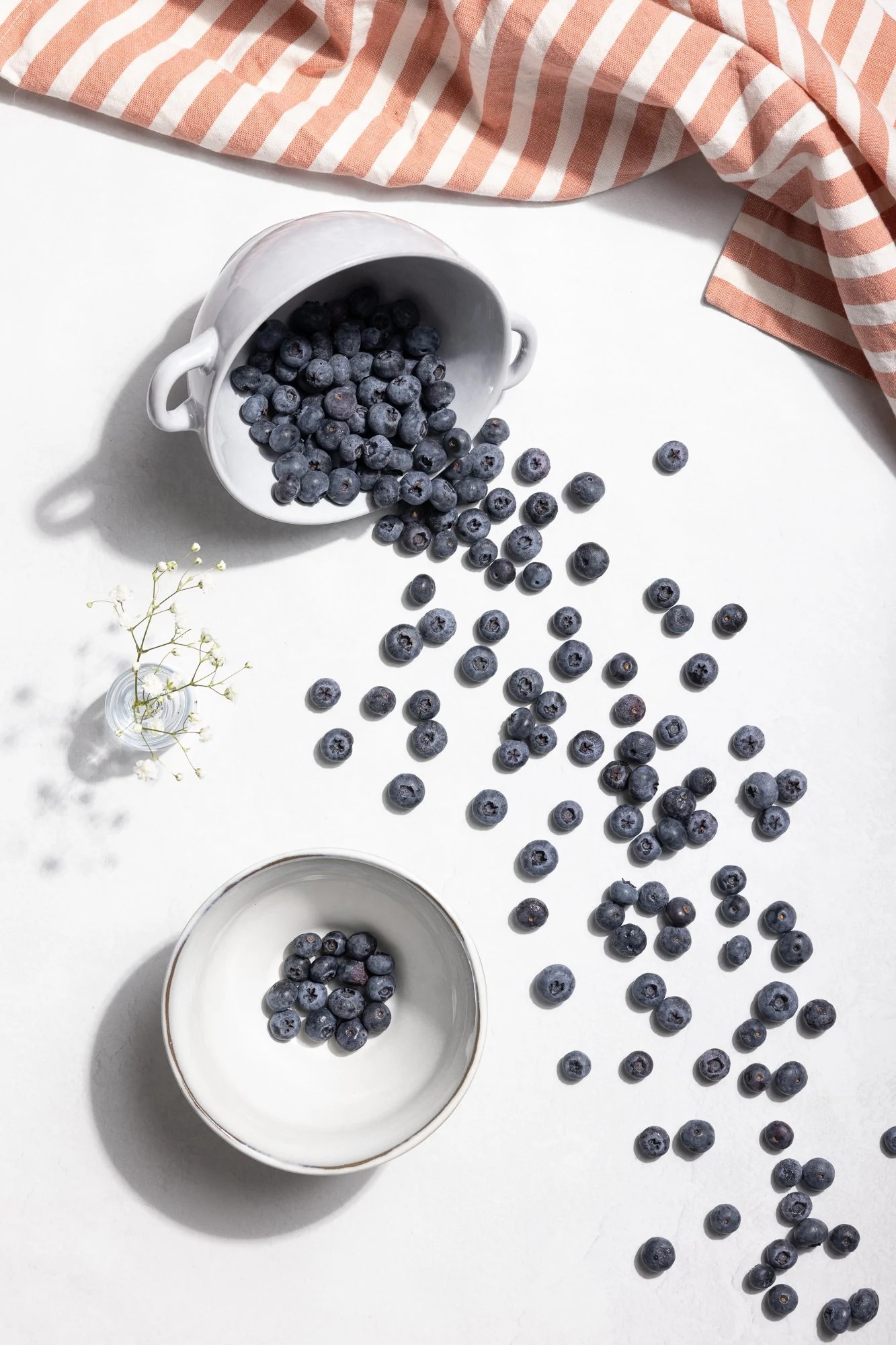 Fruit Series_04-04-21-125.jpg