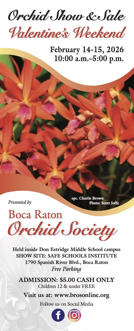 Flyer for the Boca Raton Orchid Society Orchid Show & Sale, Valentine's Weekend, February 14-15, 2026, from 10 a.m. to 5 p.m., hosted by the Boca Raton Orchid Society at Don Estridge Middle School.