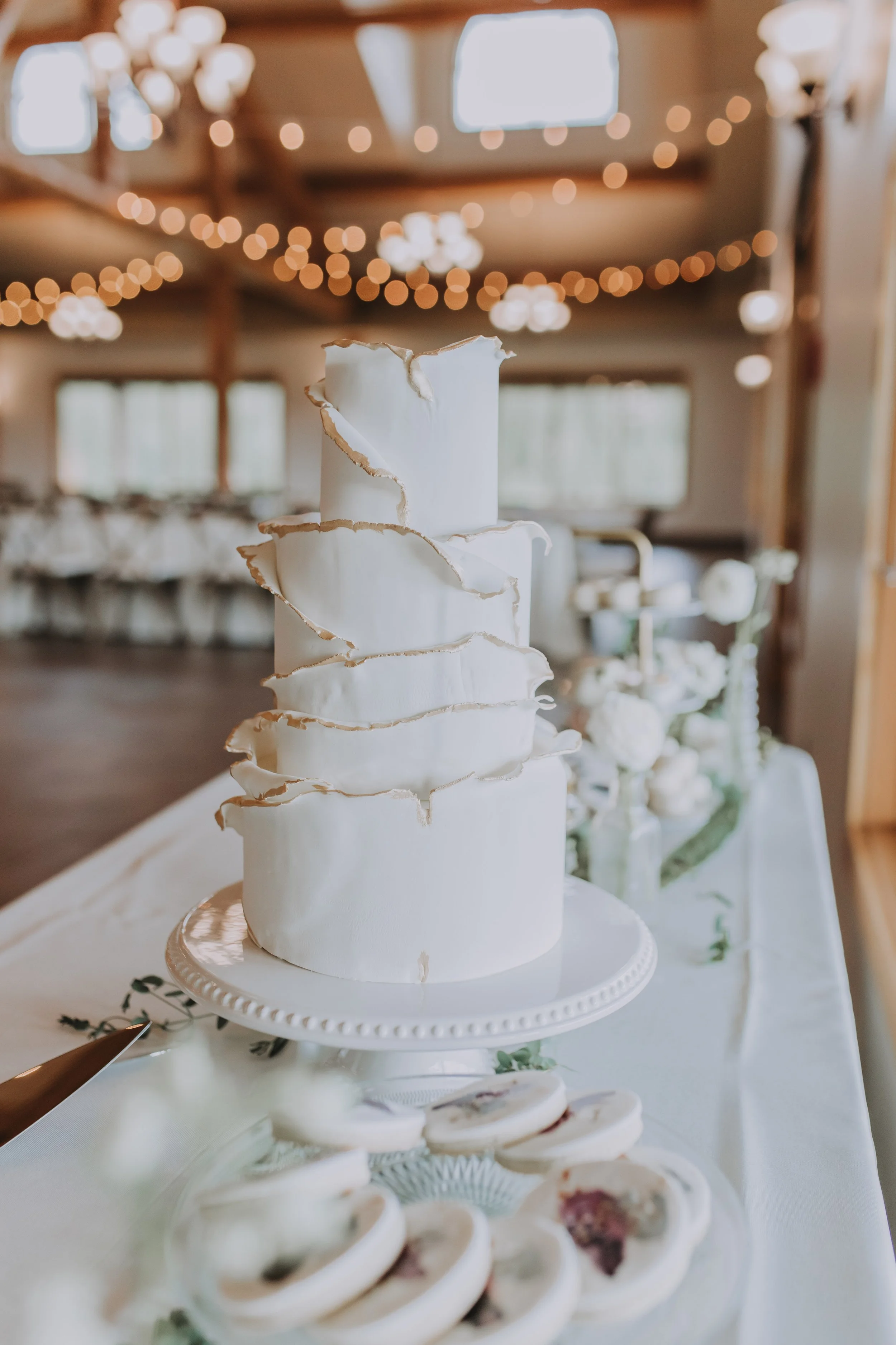 Rocky Mountain Photos