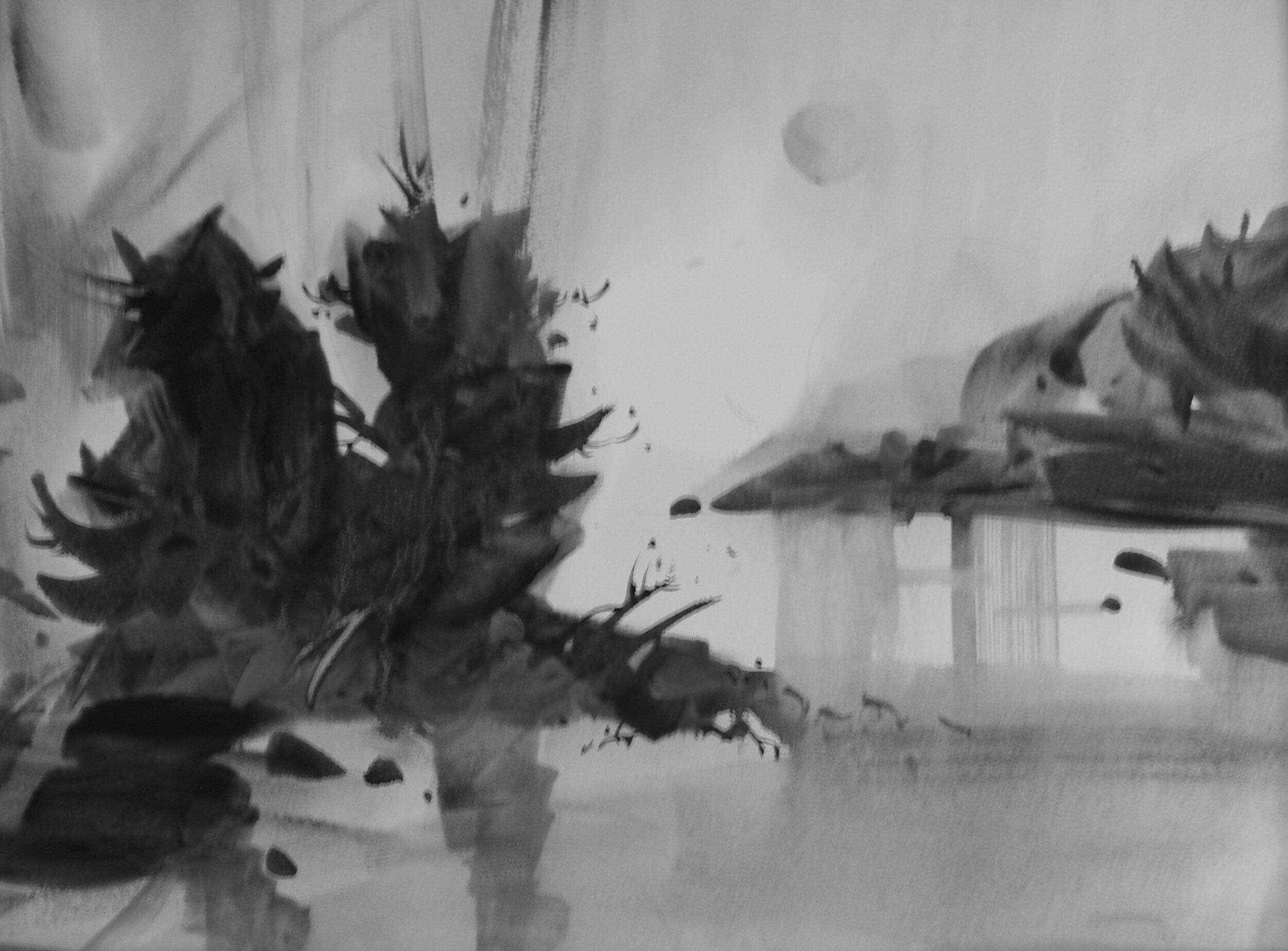 DSCF0789.jpg