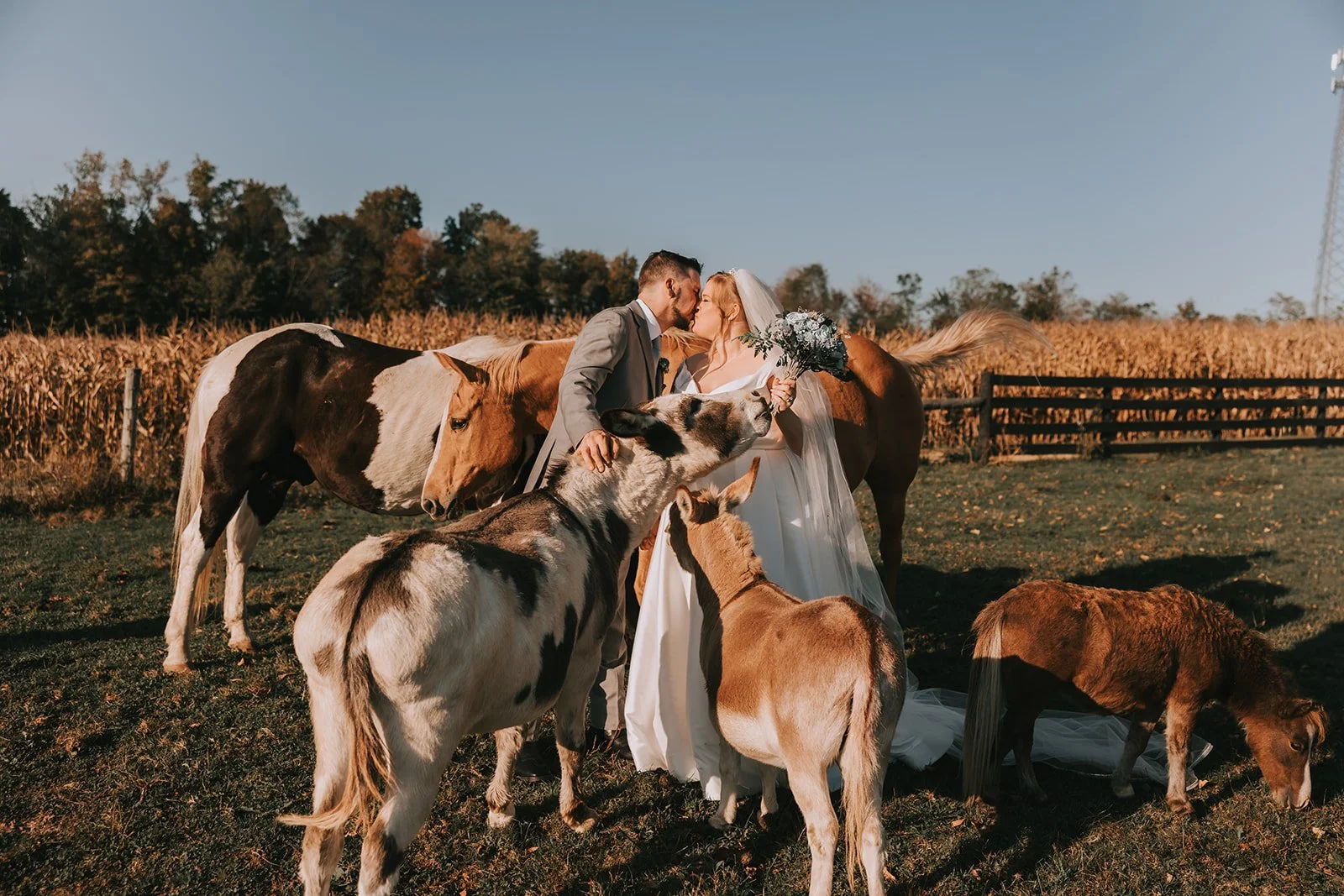 have your photos taken with our farm animals
