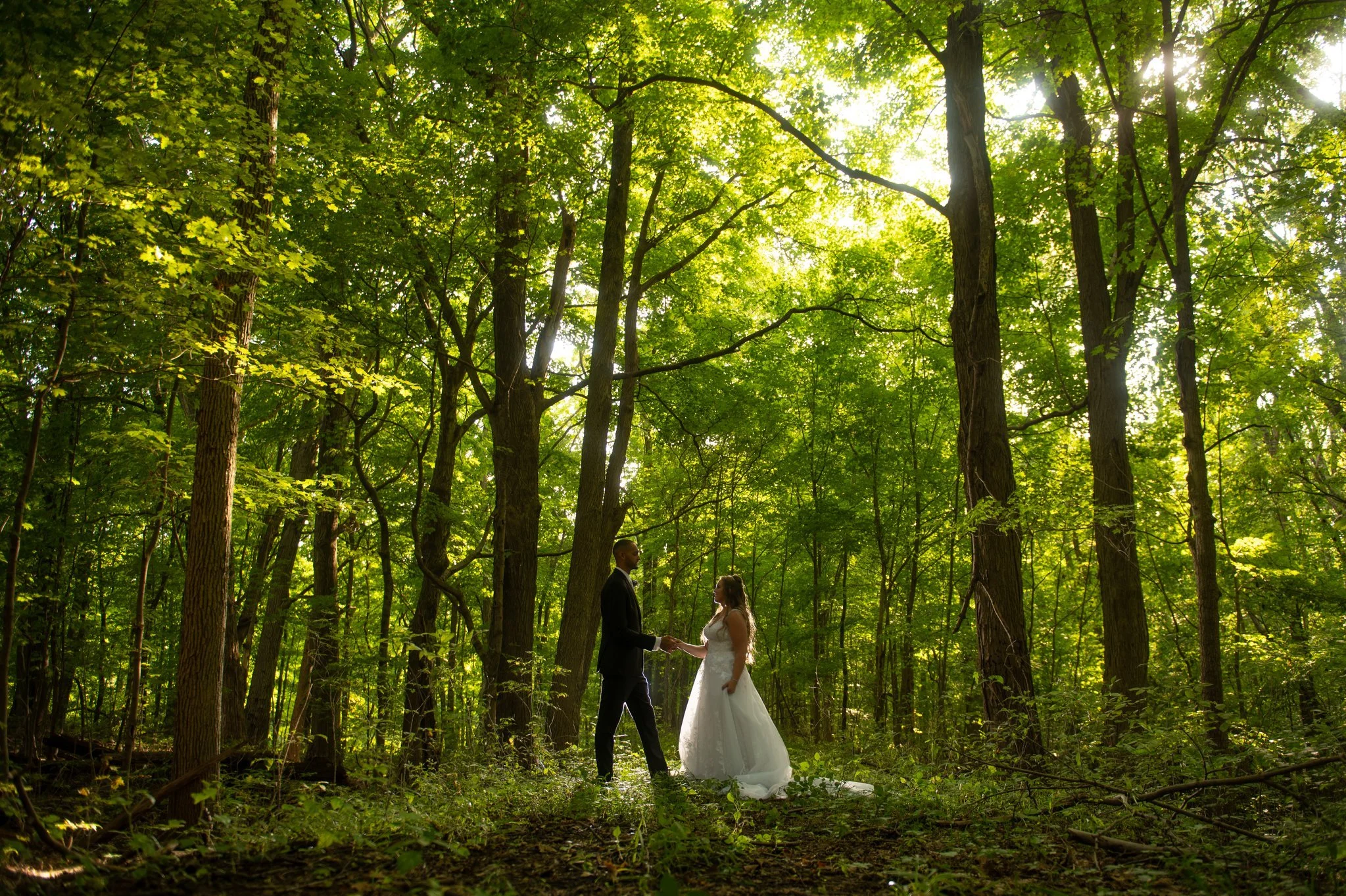 Barn Wedding Venues Northeast Ohio|Peacock Ridge | Peacock Ridge ...