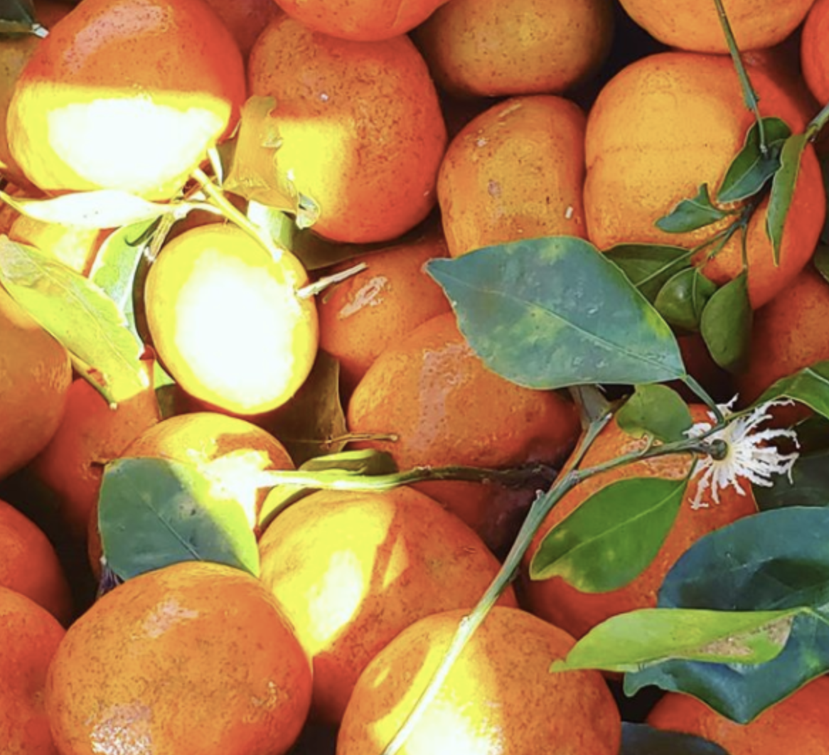 Vitamin D and Its Benefits