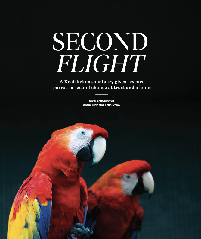 Second Flight