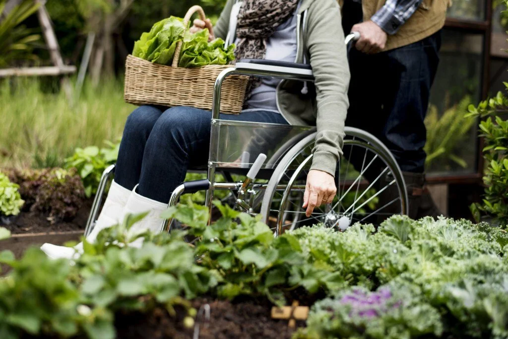 Sensory Gardens — Therapeutic Gardens Australia