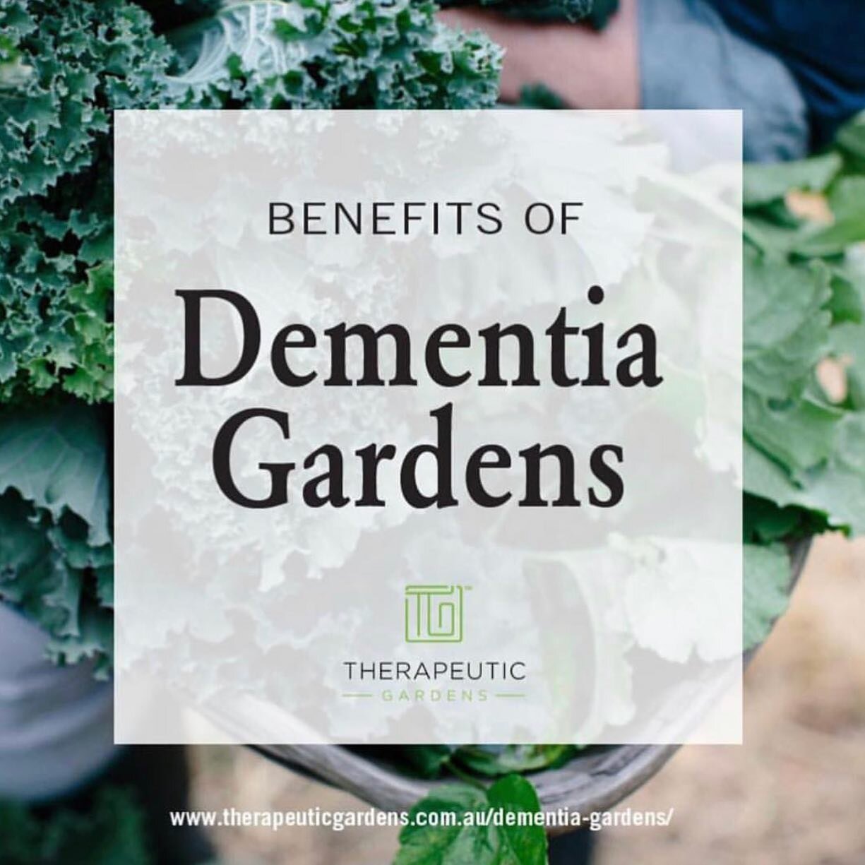 Therapeutic Gardens Australia Therapeutic Gardens Australia