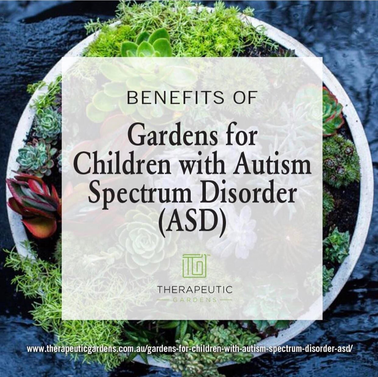 Therapeutic Gardens Australia Therapeutic Gardens Australia